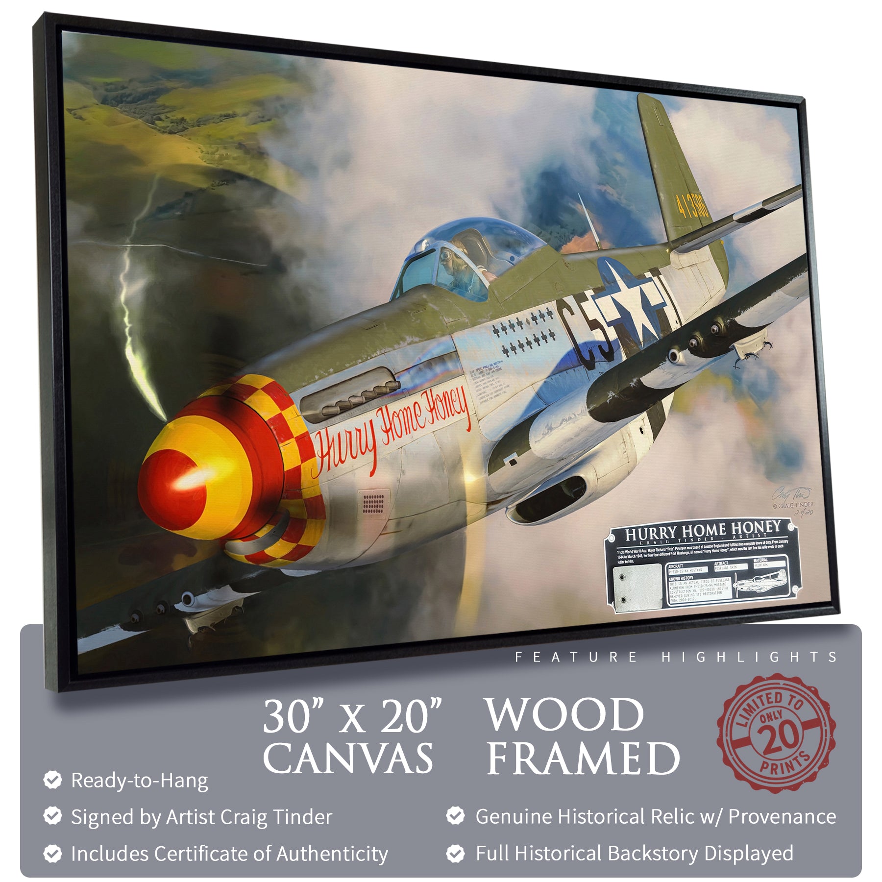 P-51 Mustang - Hurry Home Honey Canvas | INCLUDES: Fuselage Panel Fragment