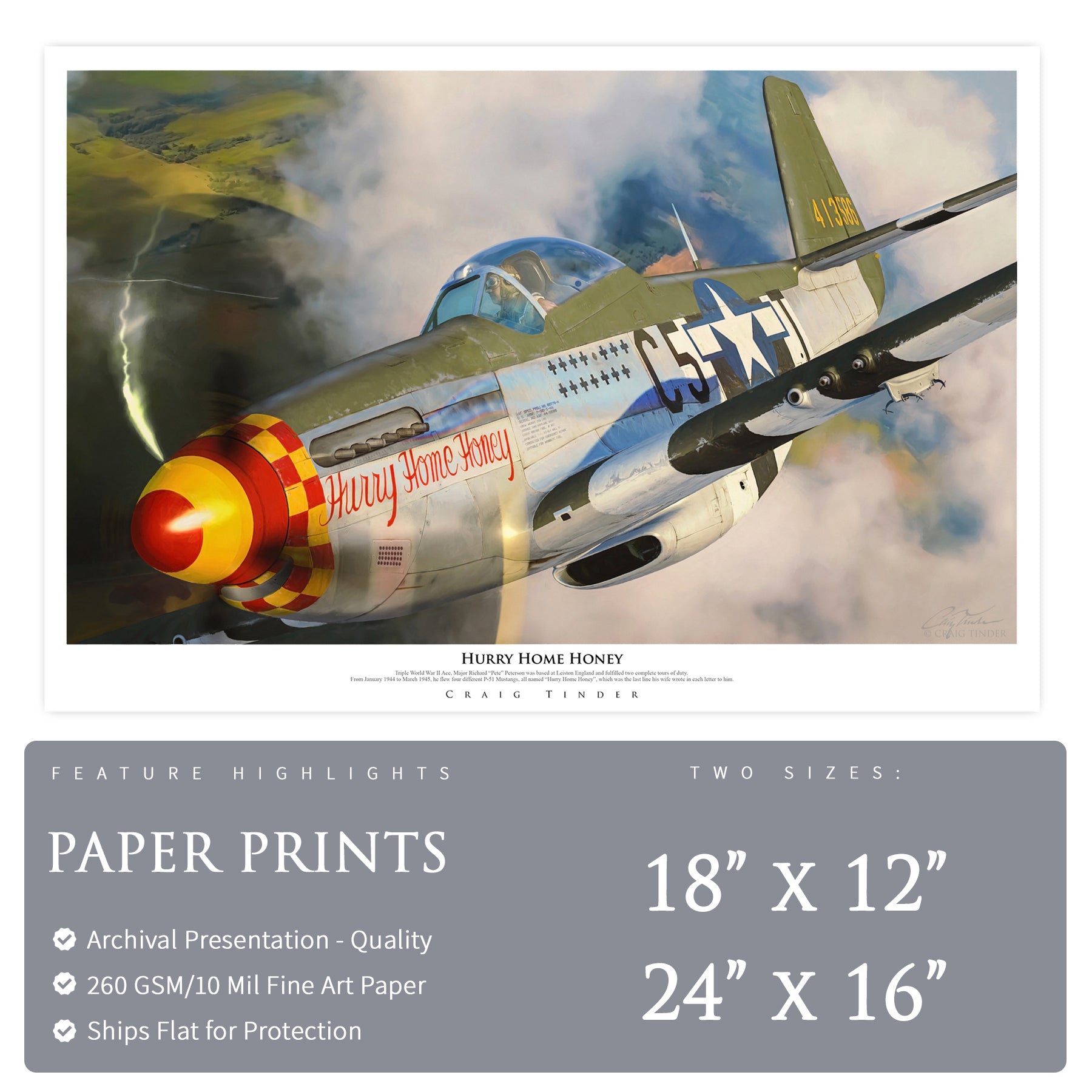 P-51 Mustang - Hurry Home Honey Canvas | INCLUDES: Fuselage Panel Fragment