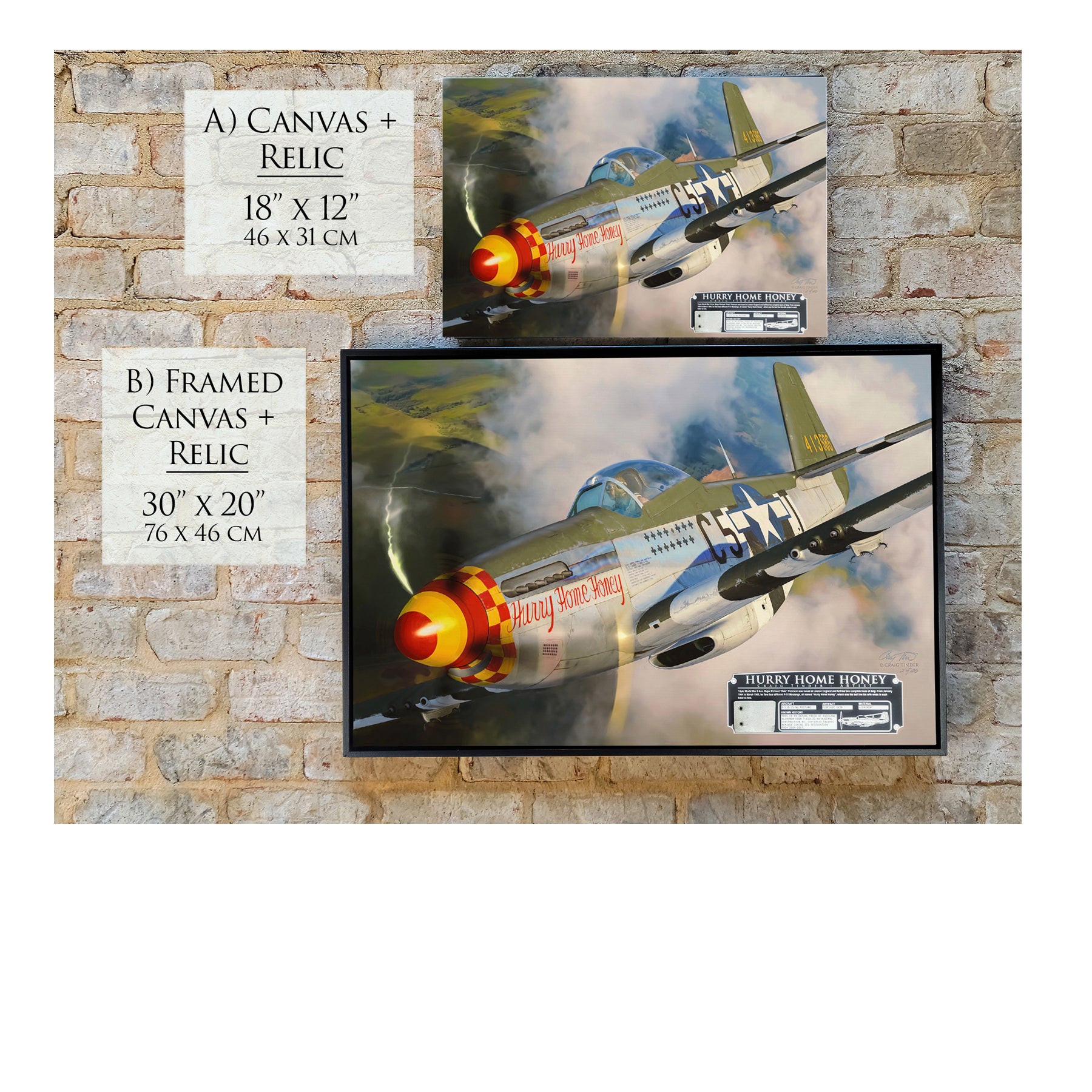 P-51 Mustang - Hurry Home Honey Canvas | INCLUDES: Fuselage Panel Fragment