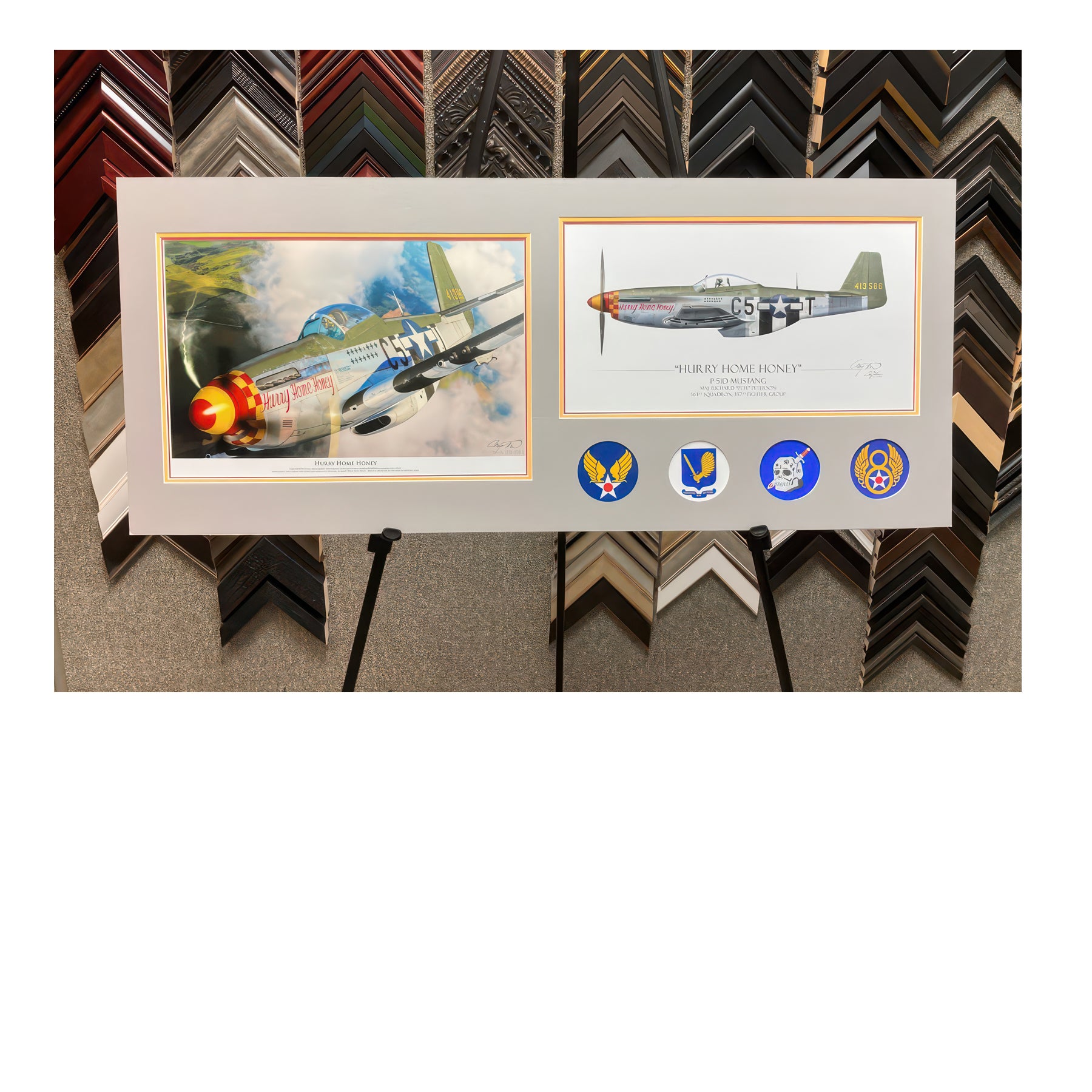 P-51 Mustang - Hurry Home Honey Canvas | INCLUDES: Fuselage Panel Fragment