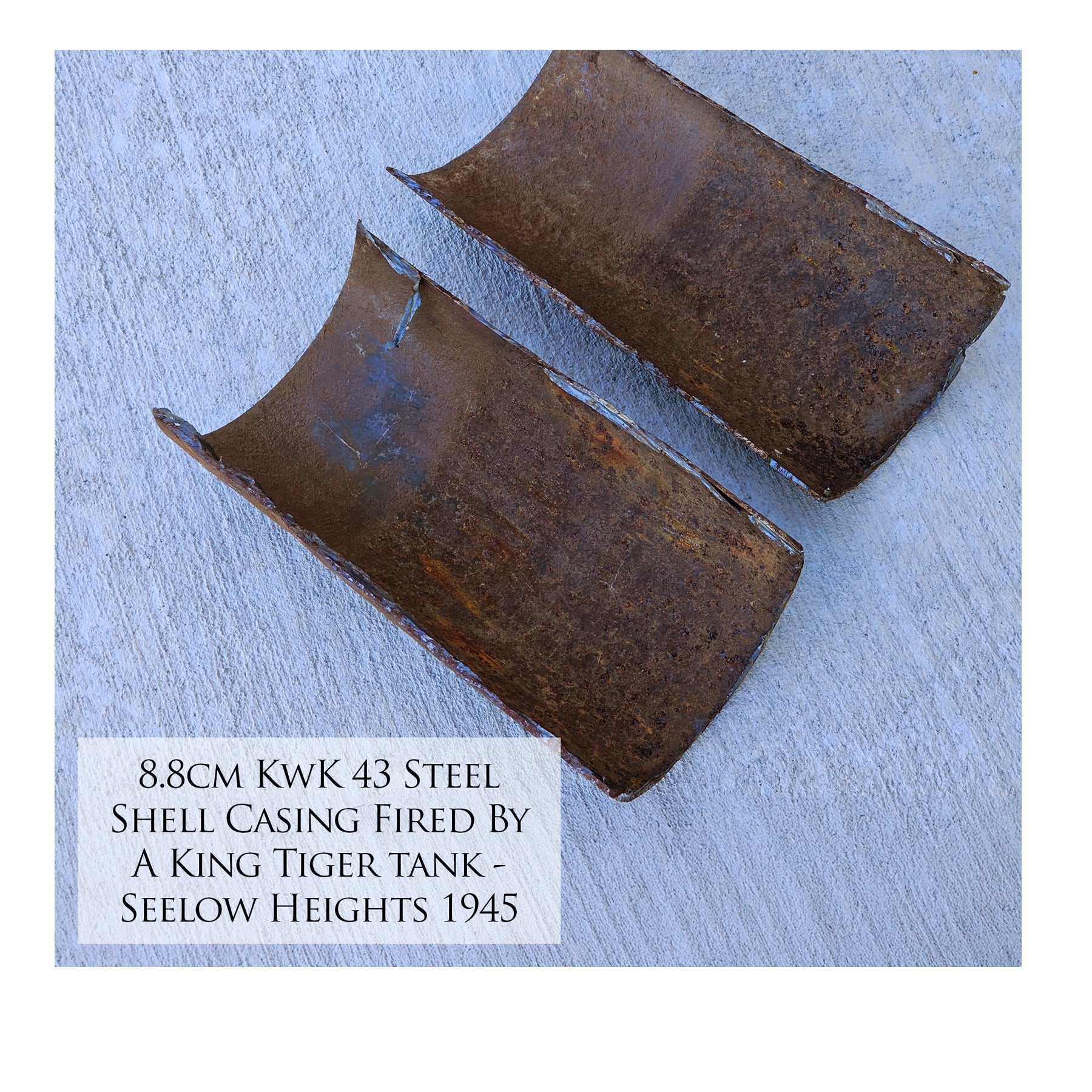 King Tiger Tank - Panzer Ace Canvas | INCLUDES: KwK 43 Shell Fragment