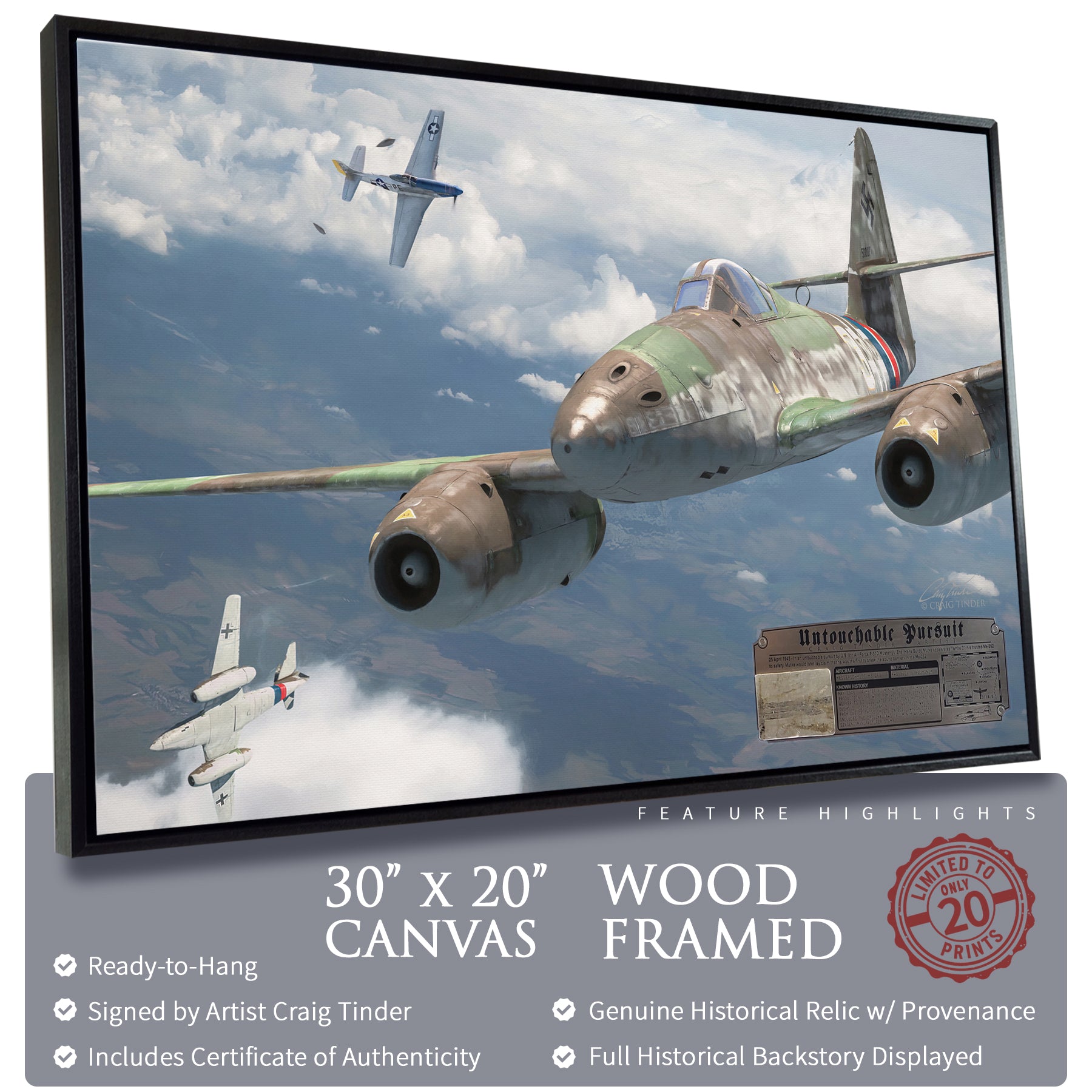 Me 262 Swallow - Untouchable Pursuit Canvas | INCLUDES: Wing Skin Relic