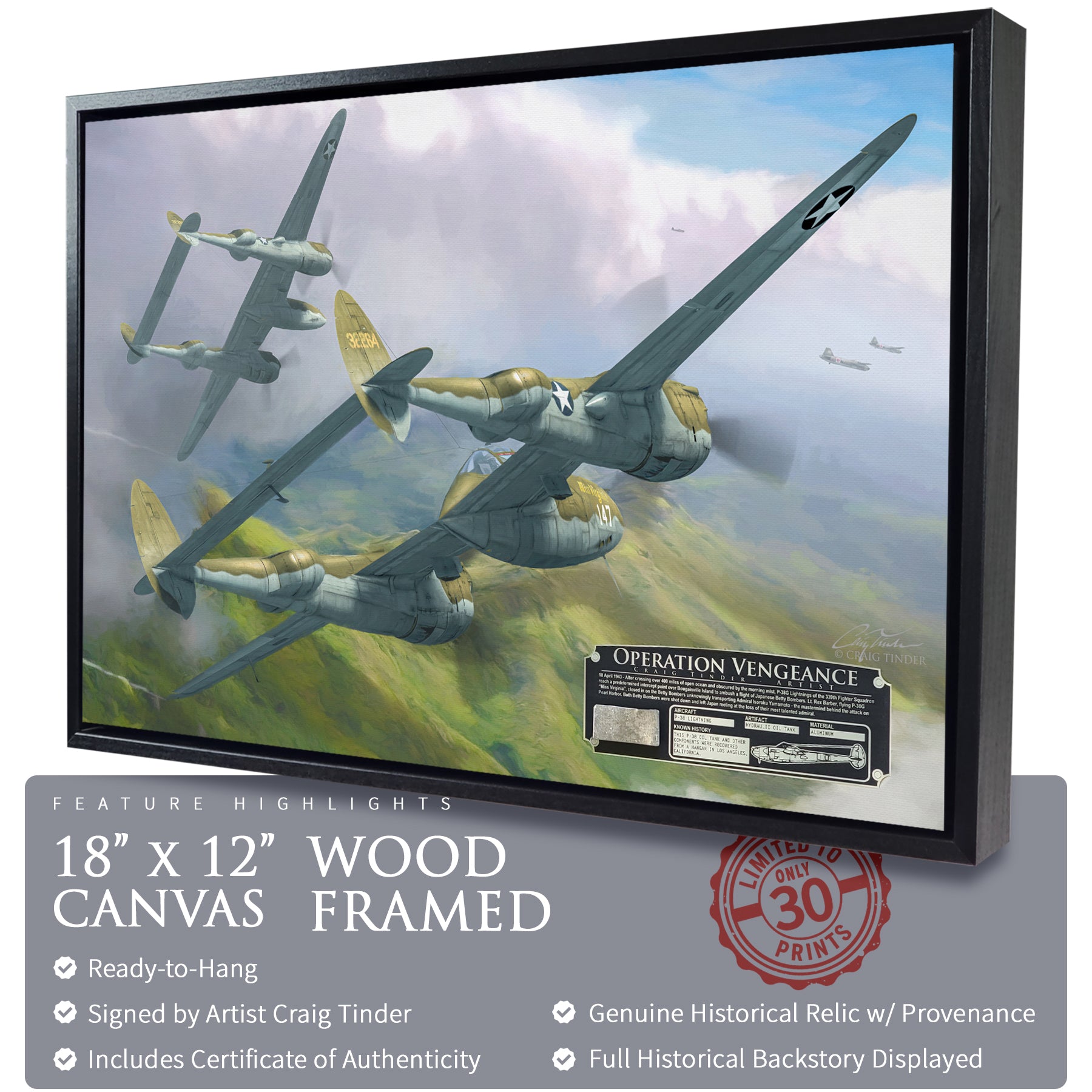P-38 Lightning - Operation Vengeance Canvas | INCLUDES: Oil Tank Fragment