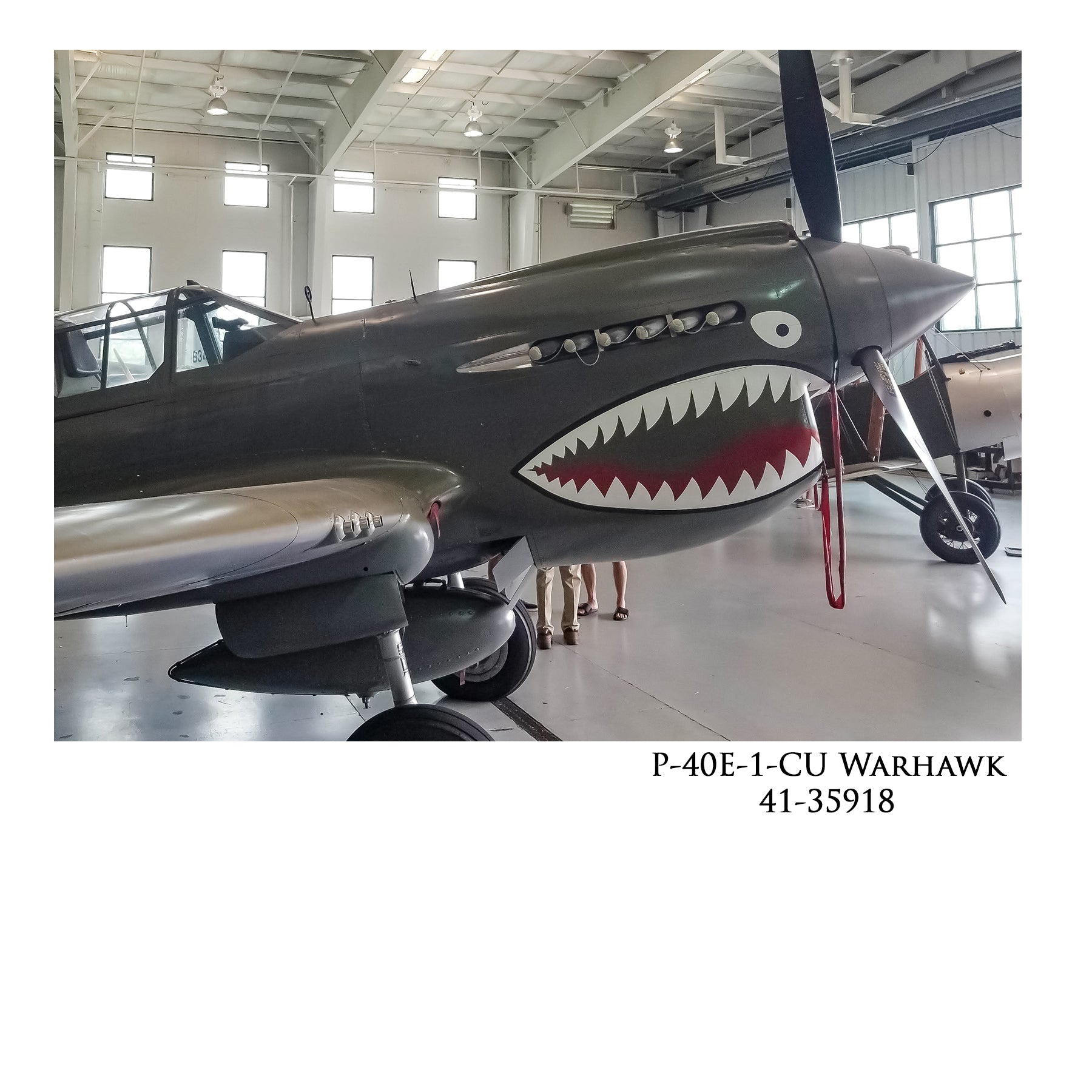 P-40 Warhawk - Tex Hill Framed Canvas | INCLUDES: Aluminum Relic
