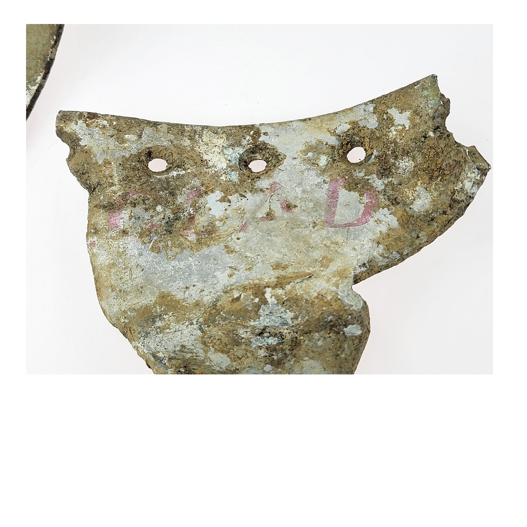 P-47 Thunderbolt - Blitz Week Canvas | INCLUDES: Airframe Relic