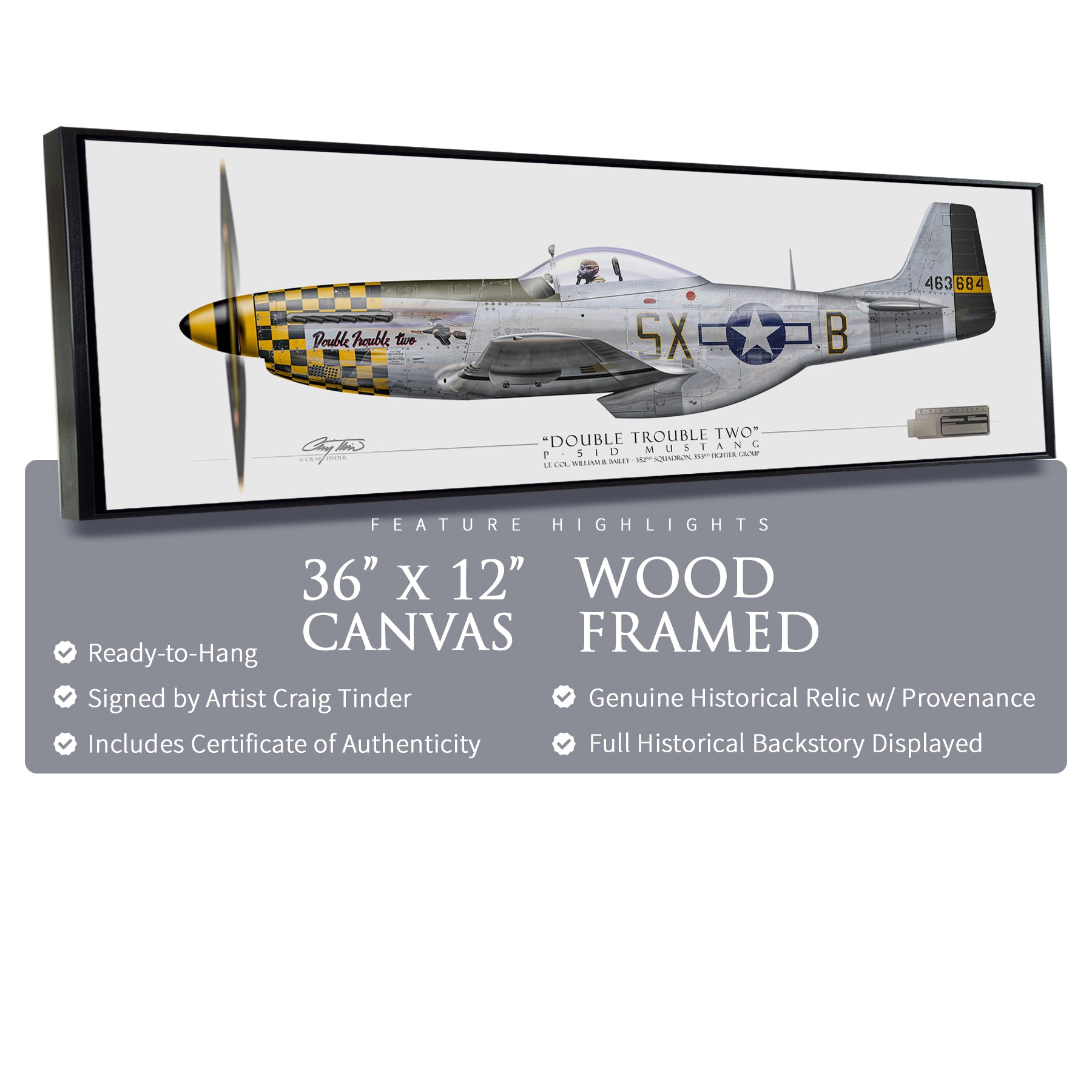 P-51 Mustang Double Trouble Two - Framed Canvas | INCLUDES: Aluminum Relic