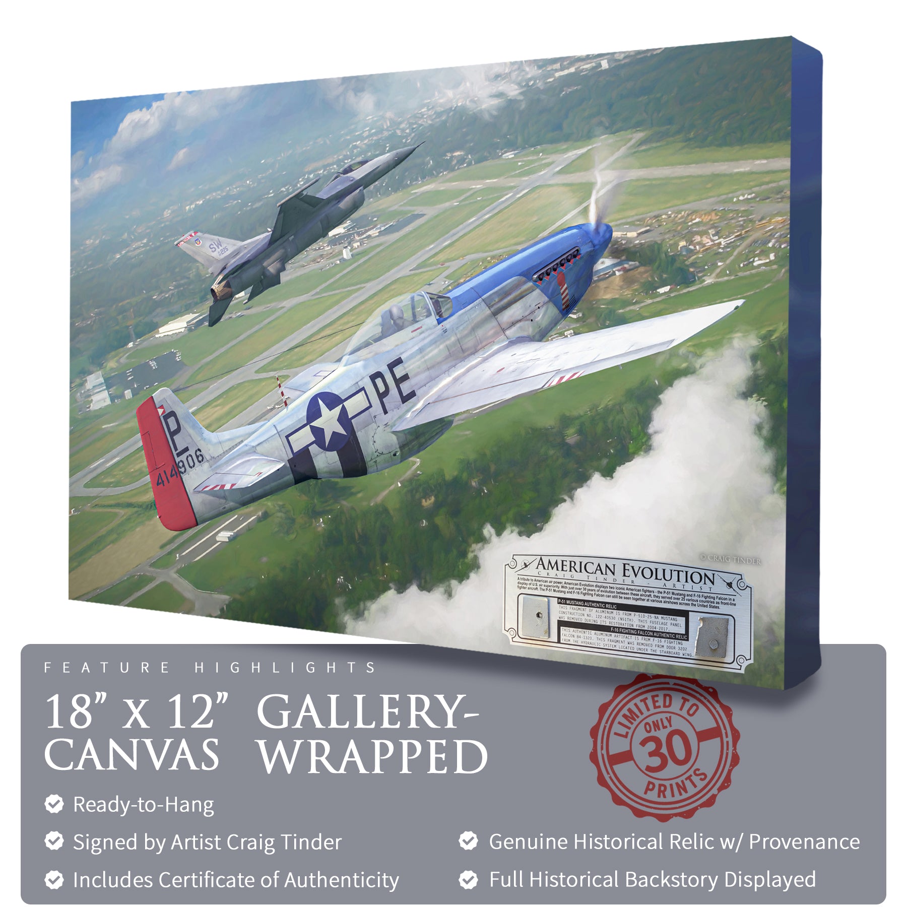 P-51 & F-16 - American Evolution Canvas | INCLUDES: Fuselage Panel & Access Door Relics