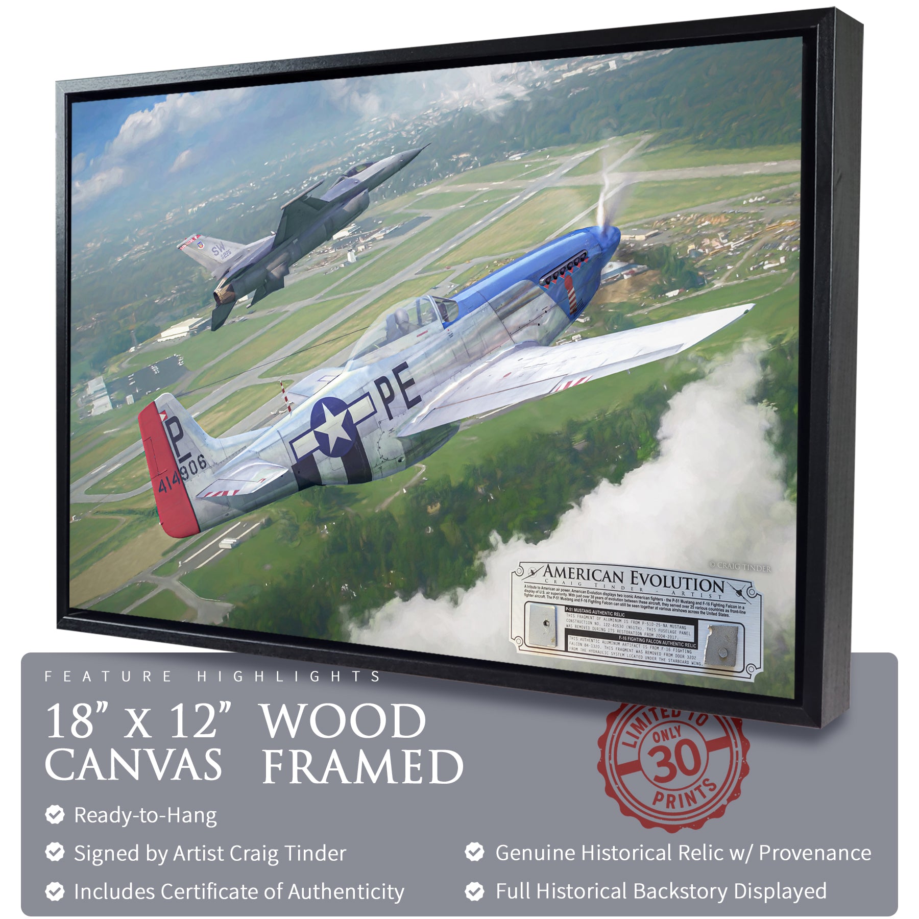 P-51 & F-16 - American Evolution Canvas | INCLUDES: Fuselage Panel & Access Door Relics