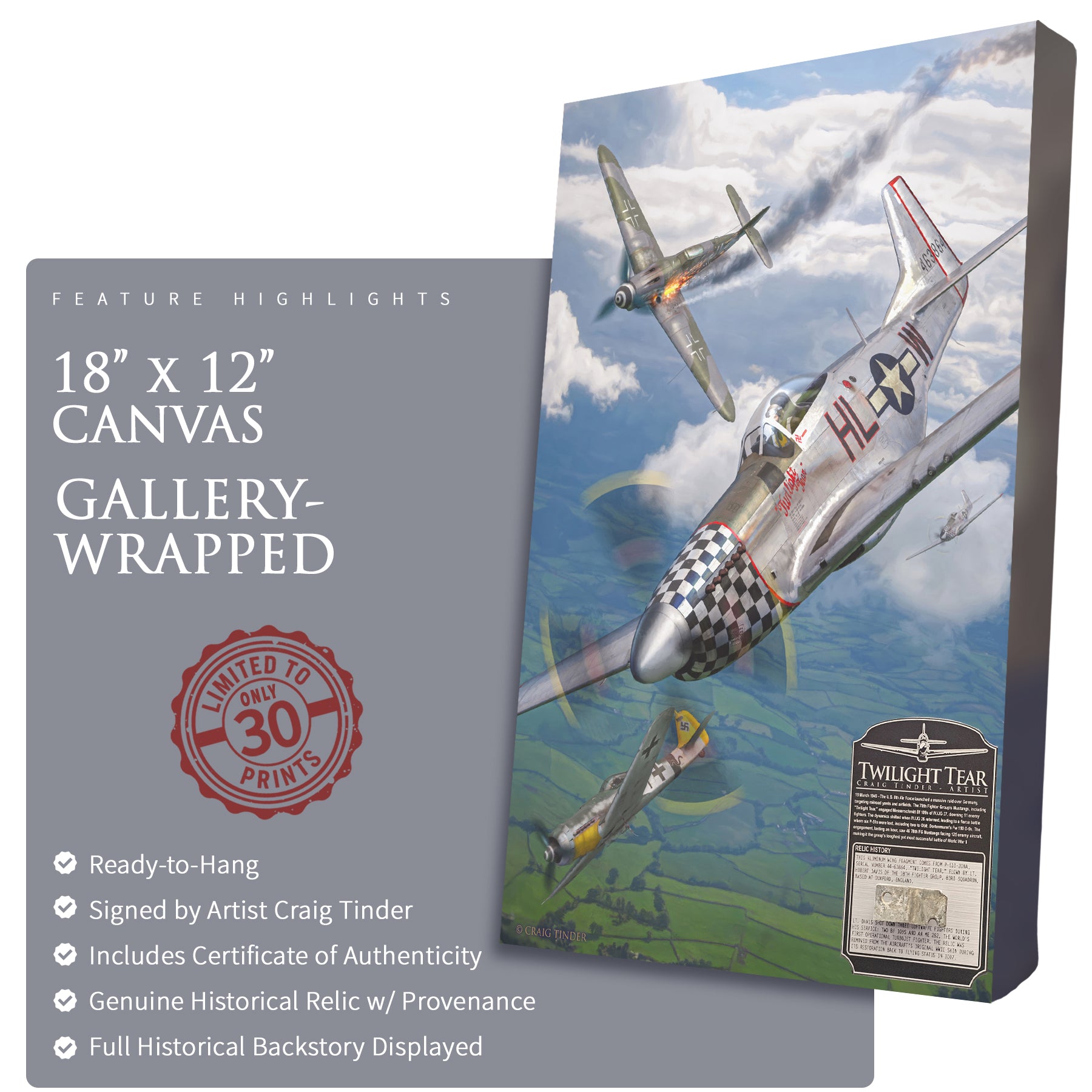 P-51 Mustang - Twilight Tear Canvas | INCLUDES: Wing Fragment