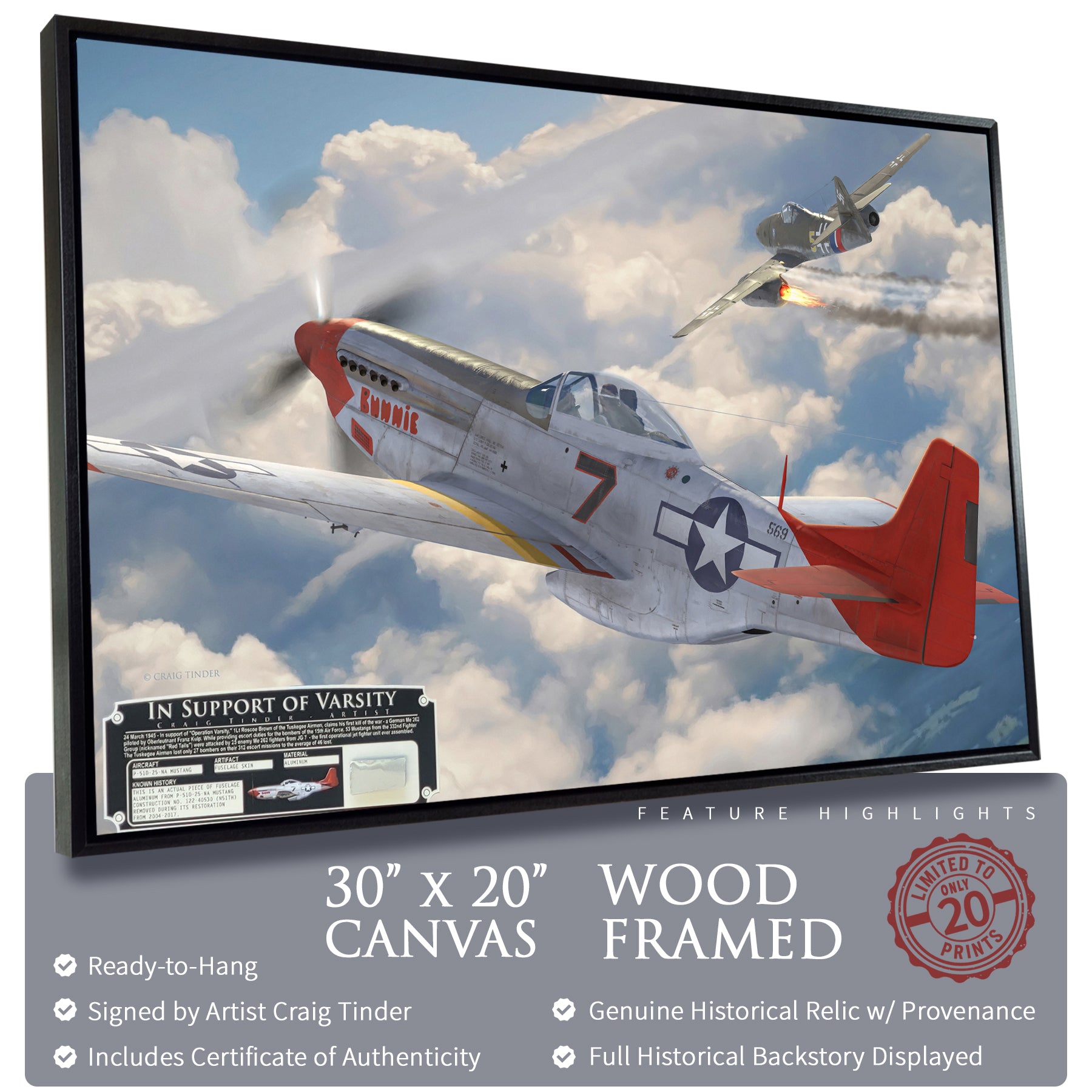 P-51 Mustang - Tuskegee Airmen Red Tails In Support of Varsity Canvas | INCLUDES: Skin Relic