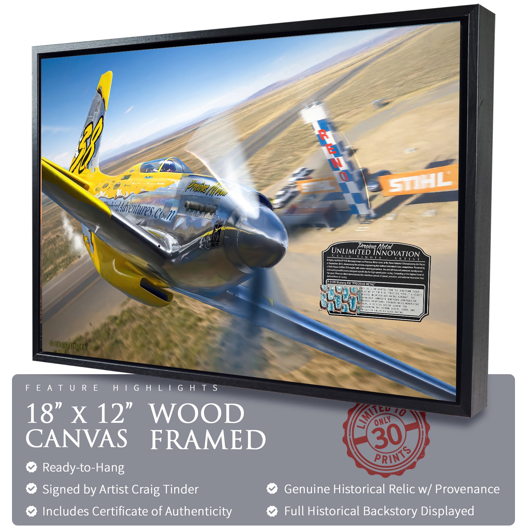 P-51 Mustang - #38 Precious Metal Canvas | INCLUDES: Fuselage Fragment