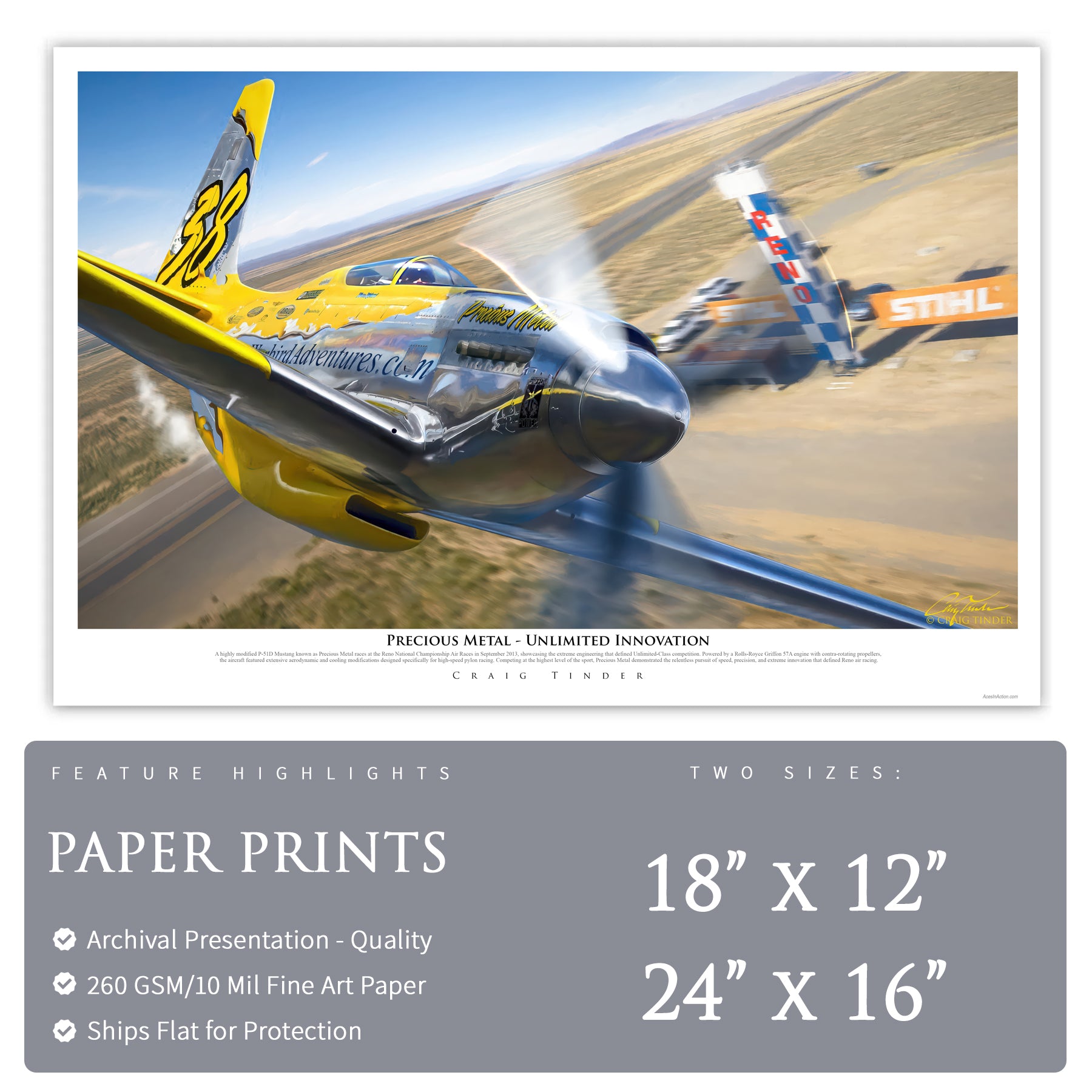 P-51 Mustang - #38 Precious Metal Canvas | INCLUDES: Fuselage Fragment