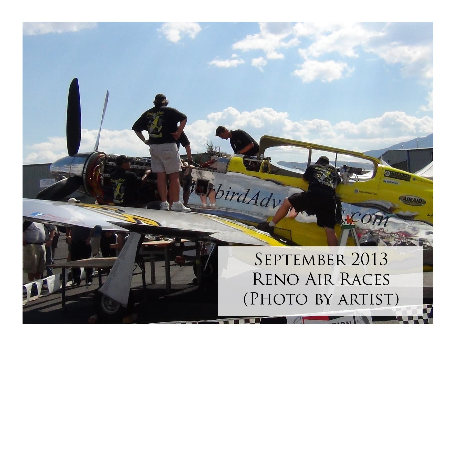 P-51 Mustang - #38 Precious Metal Canvas | INCLUDES: Fuselage Fragment