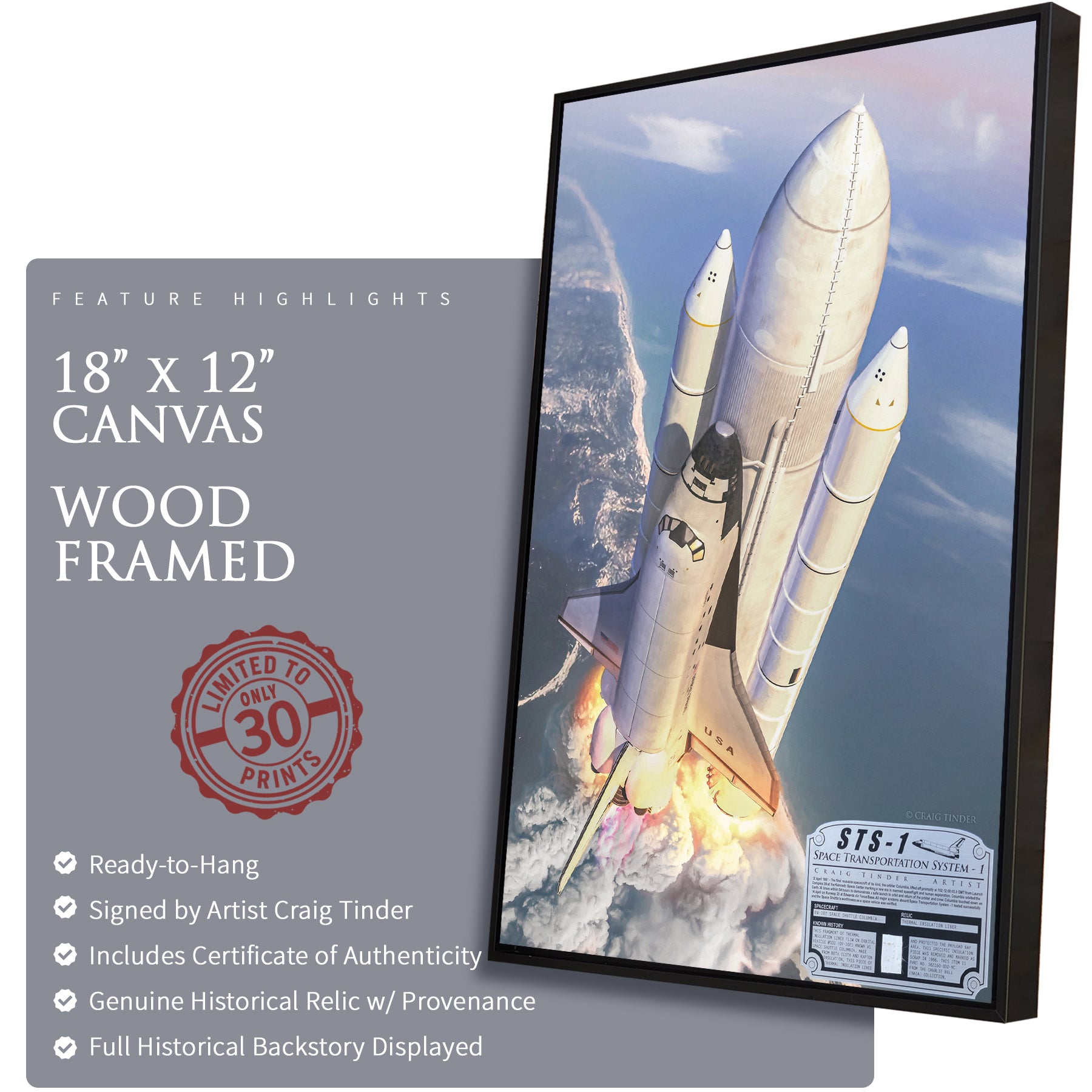 Space Shuttle Columbia - STS-1 Canvas | INCLUDES: Insulation Liner Piece