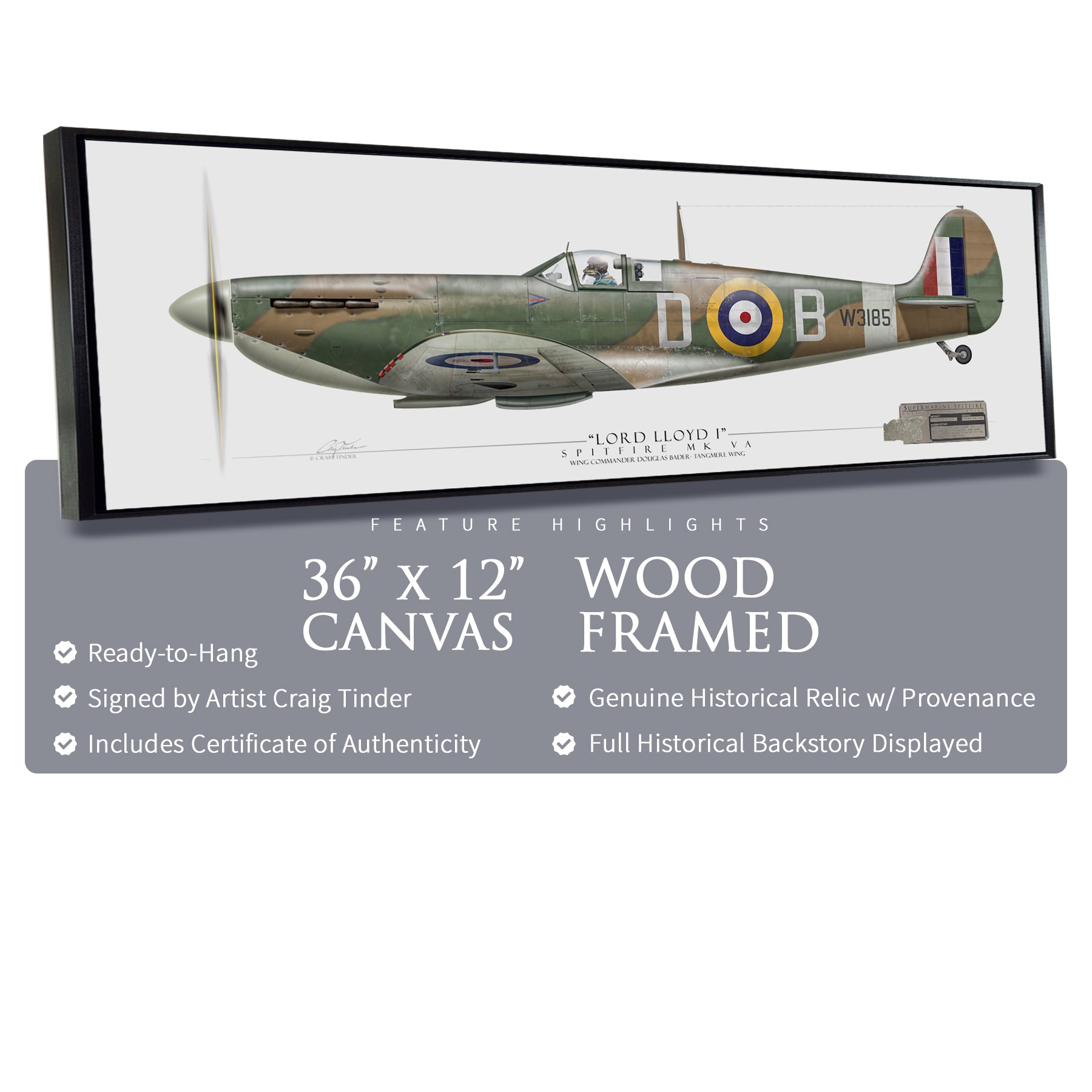 Spitfire - Douglas Bader Framed Canvas | INCLUDES: Wing Panel Relic