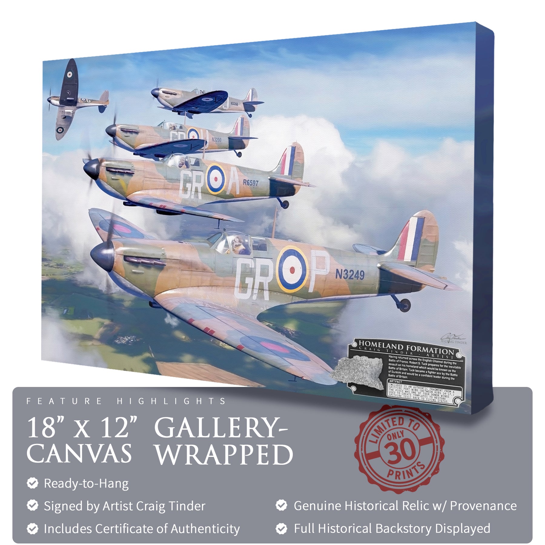 Spitfire - Homeland Formation Canvas | INCLUDES: Wing Panel Relic