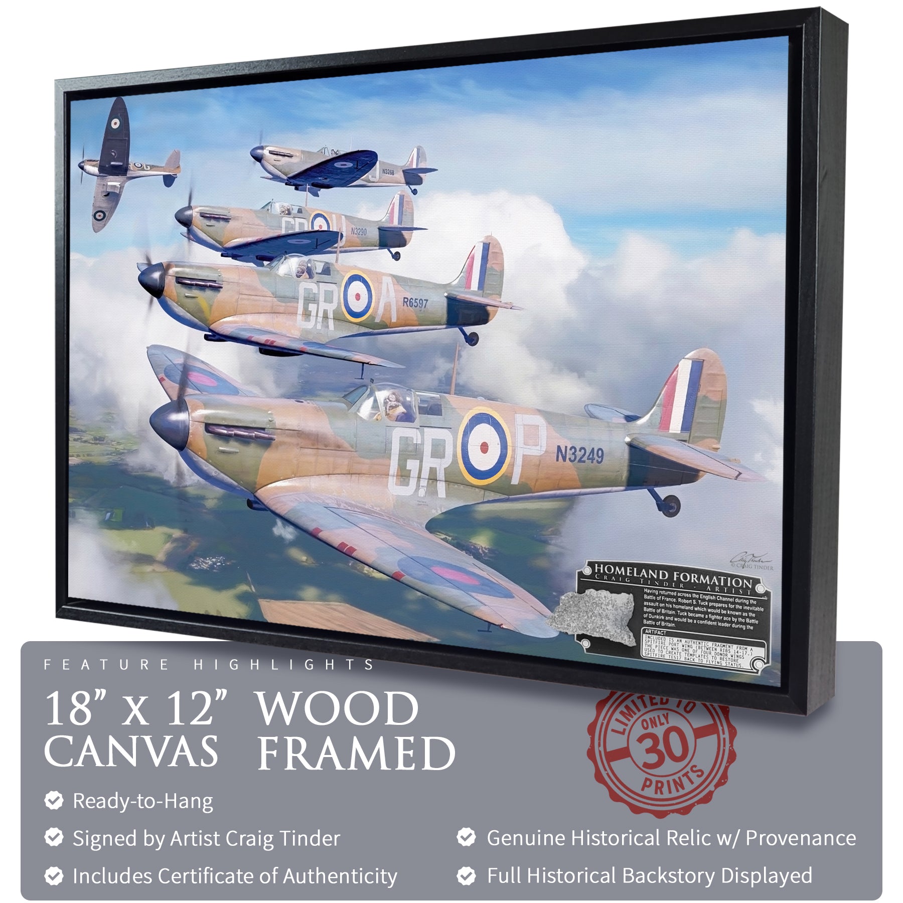 Spitfire - Homeland Formation Canvas | INCLUDES: Wing Panel Relic