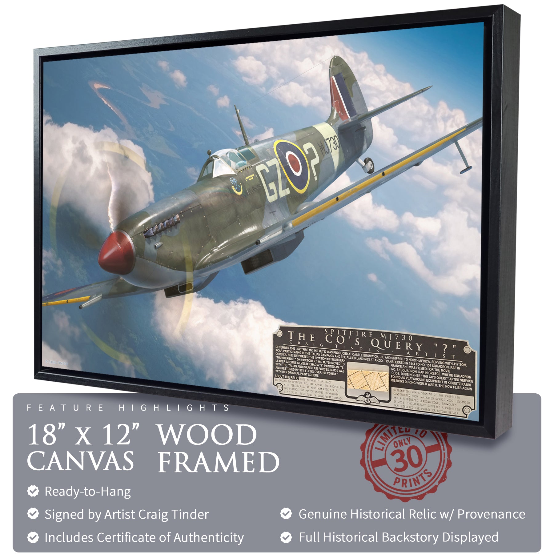Spitfire Mk IX - The CO's Query Canvas | INCLUDES: Propeller Piece