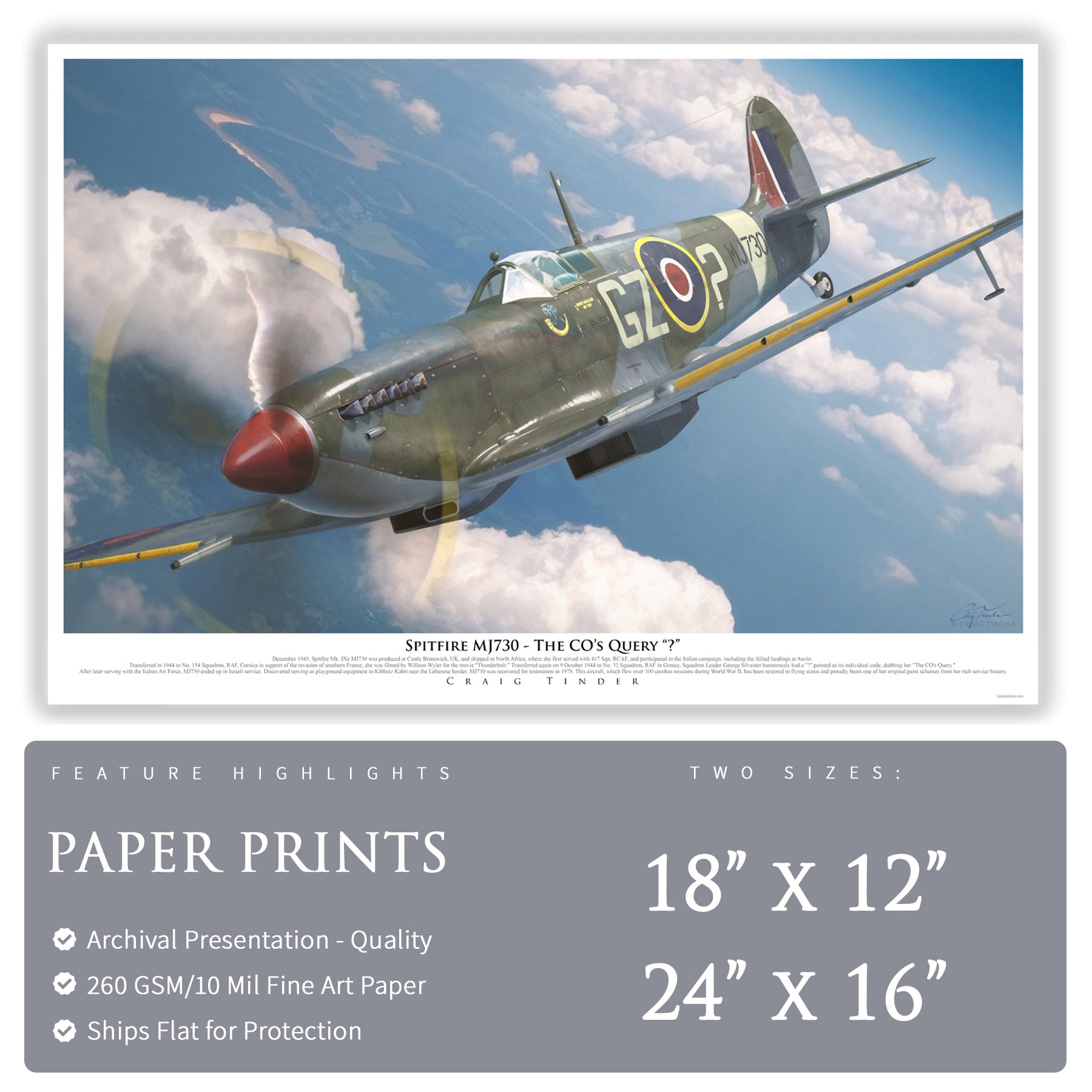 Spitfire Mk IX - The CO's Query Canvas | INCLUDES: Propeller Piece