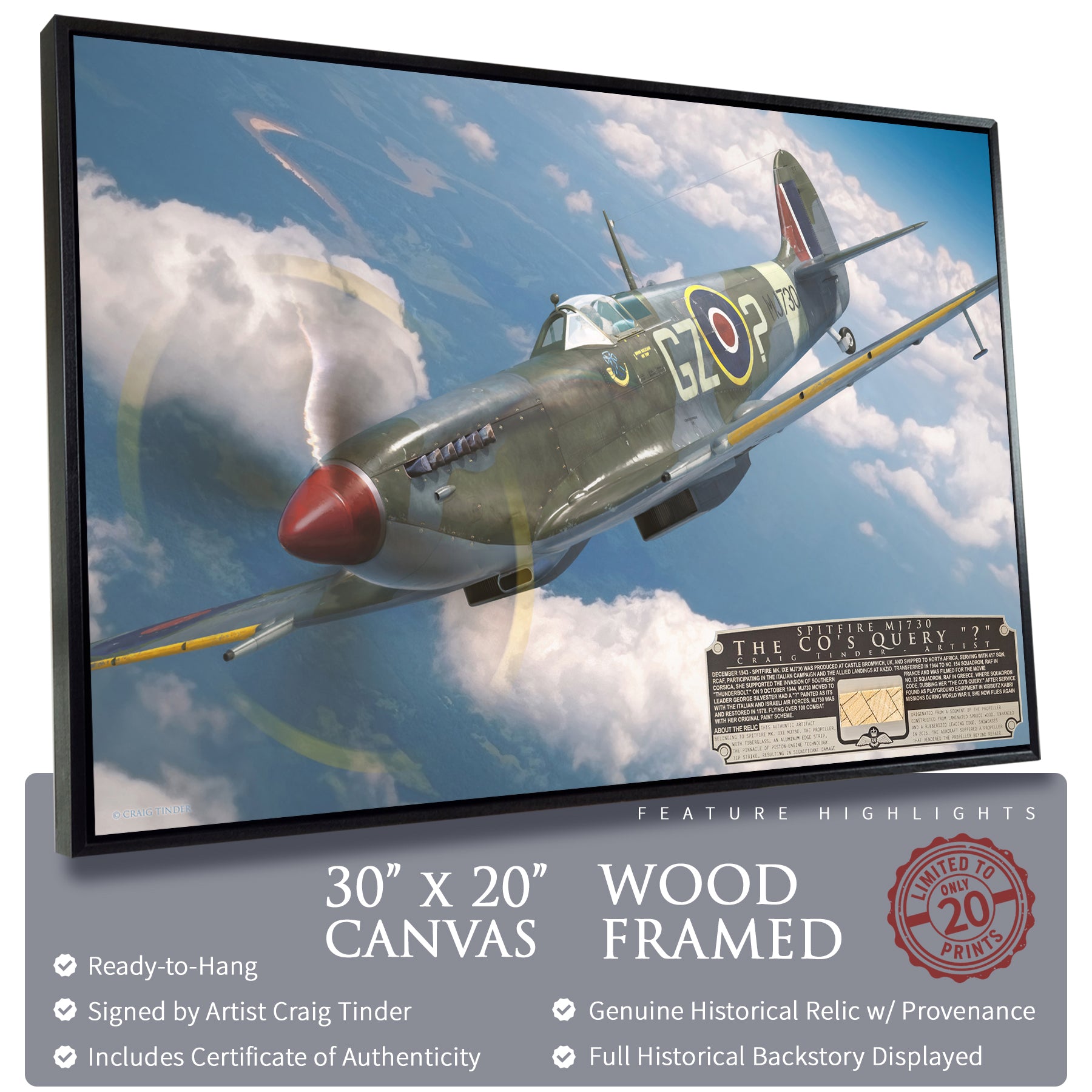 Spitfire Mk IX - The CO's Query Canvas | INCLUDES: Propeller Piece