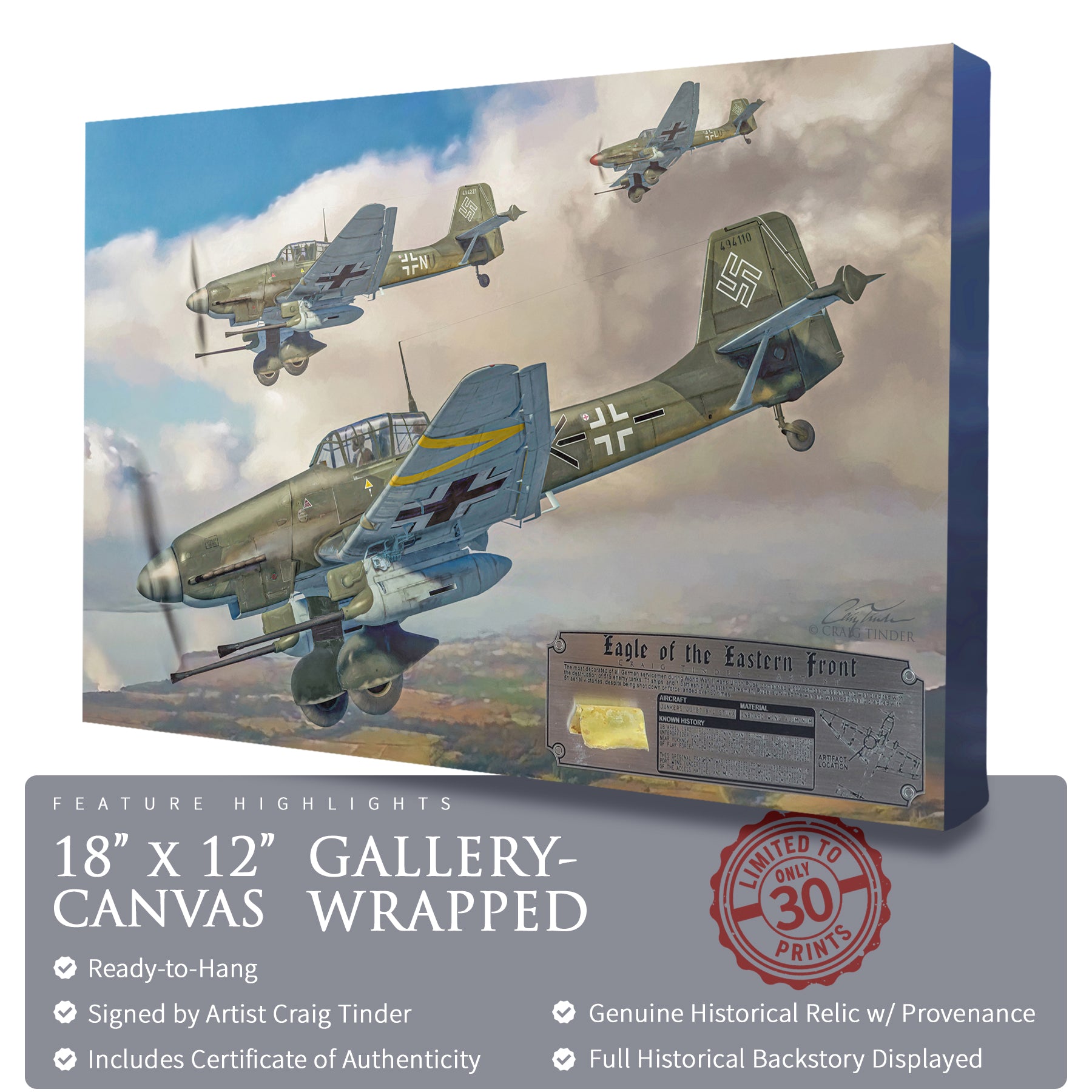 Ju 87 Stuka - Eagle of the Eastern Front Canvas | INCLUDES: Wing Relic