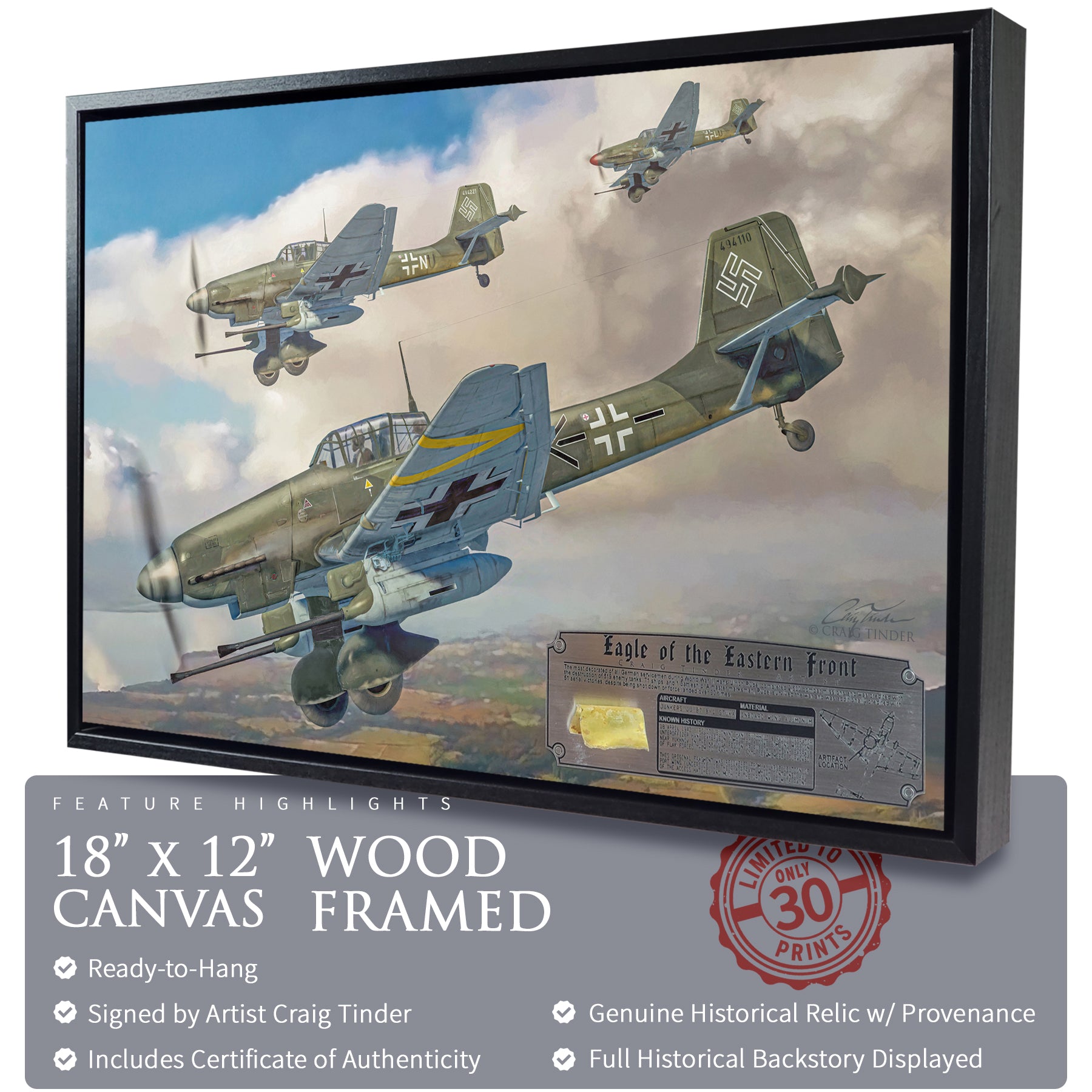 Ju 87 Stuka - Eagle of the Eastern Front Canvas | INCLUDES: Wing Relic