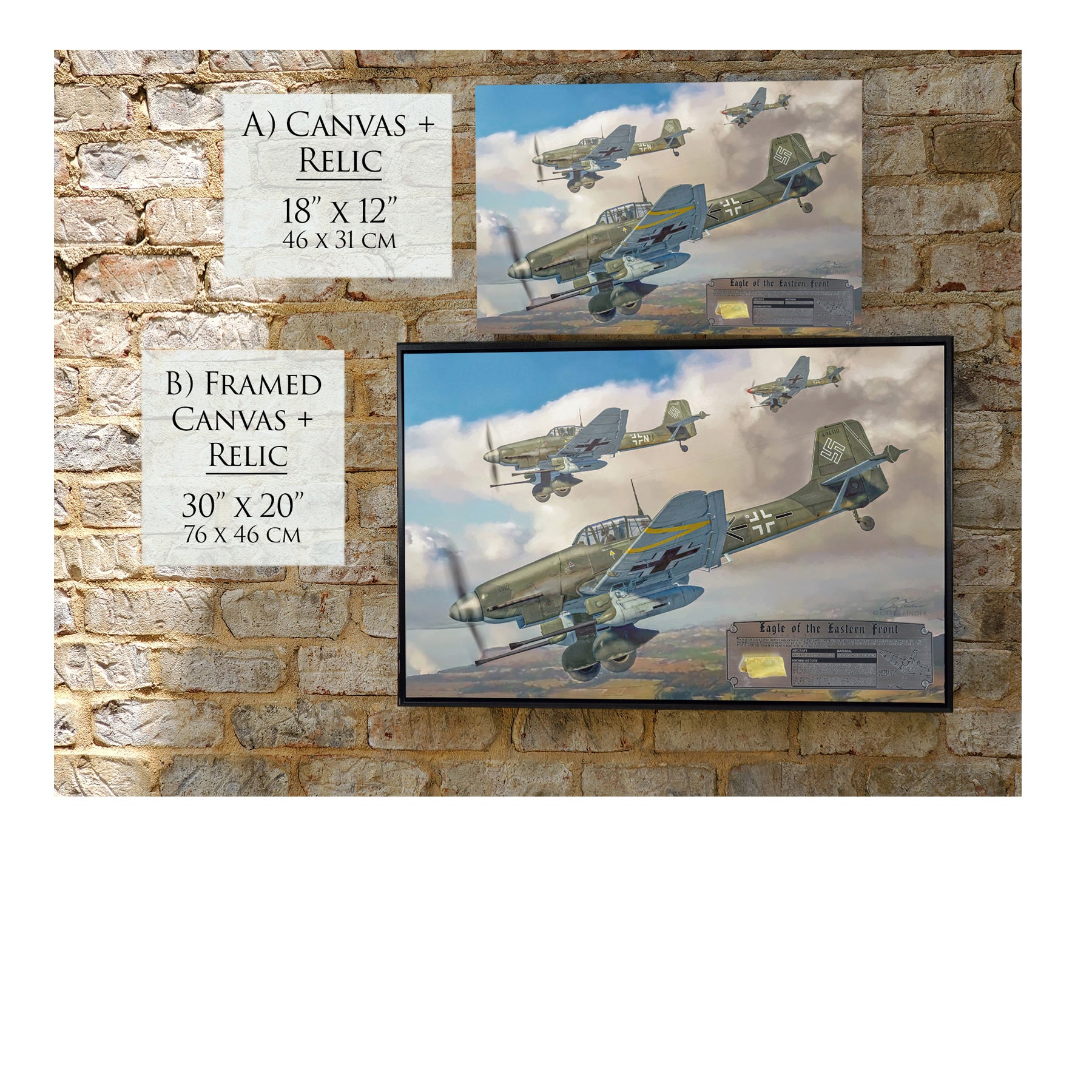 Ju 87 Stuka - Eagle of the Eastern Front Canvas | INCLUDES: Wing Relic