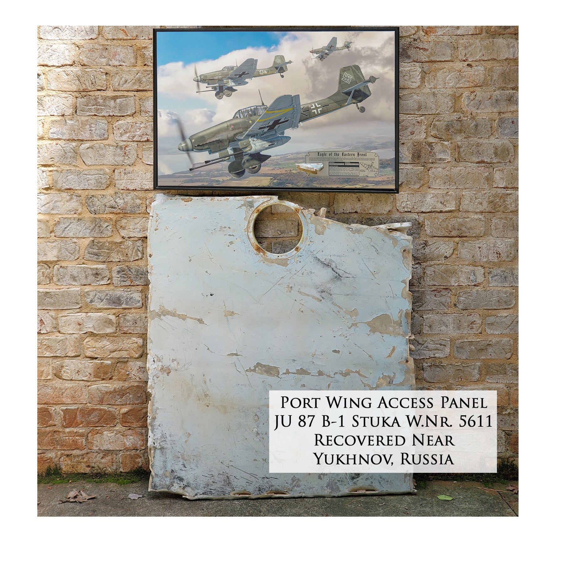 Ju 87 Stuka - Eagle of the Eastern Front Canvas | INCLUDES: Wing Relic