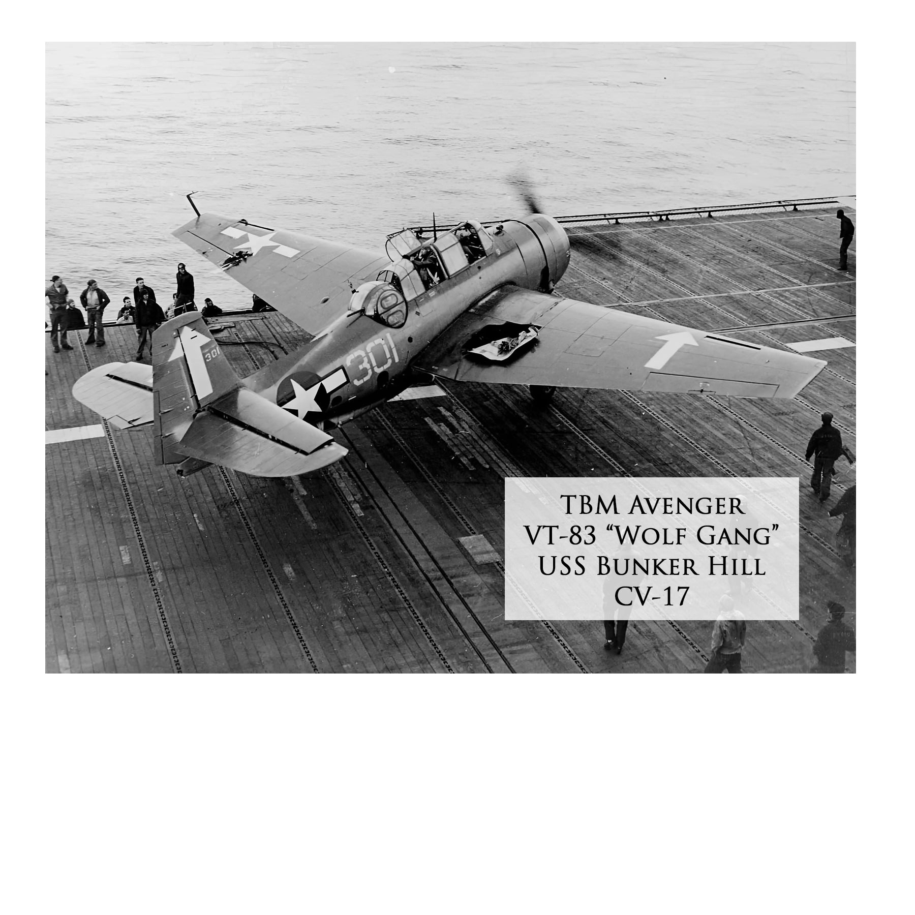 TBM Avenger - Return of the Wolf Gang Canvas | INCLUDES: Oil Cooler Intake Piece