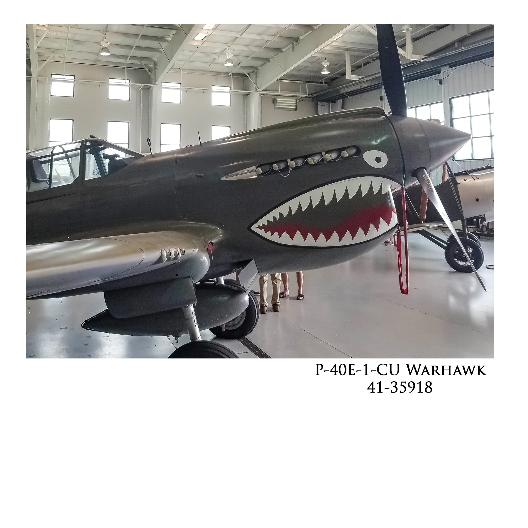 P-40 Warhawk - Return from Canton Canvas | INCLUDES: Skin Fragment