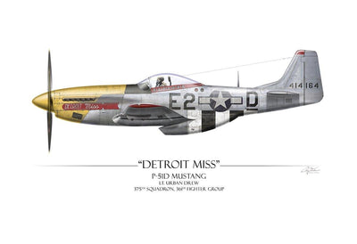 "Detroit Miss P-51D Mustang" - Art Print by Craig Tinder
