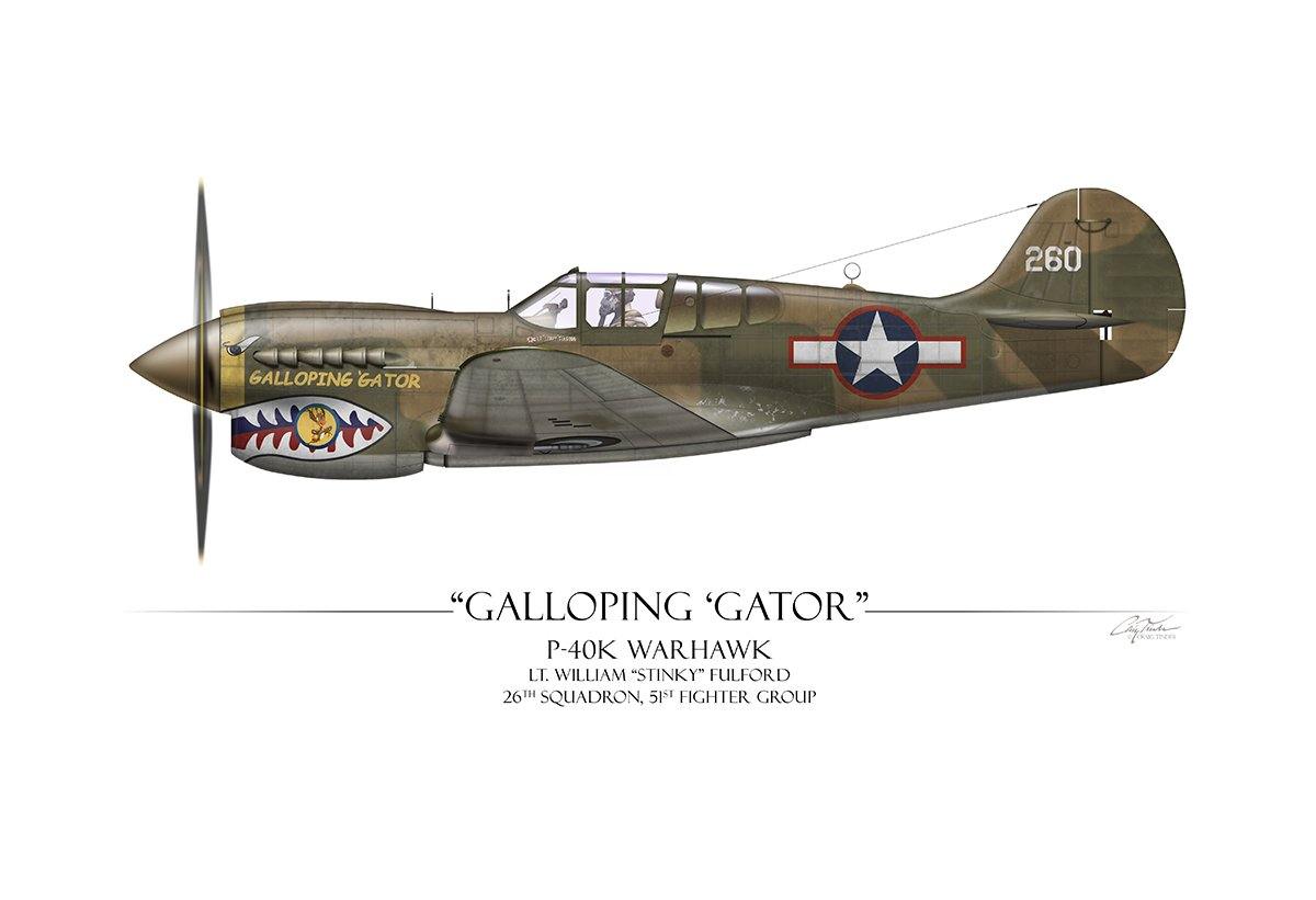 Galloping Gator P-40k Warhawk Aviation Art Print Profile – Aces In  Action: The Workshop of Artist Craig Tinder