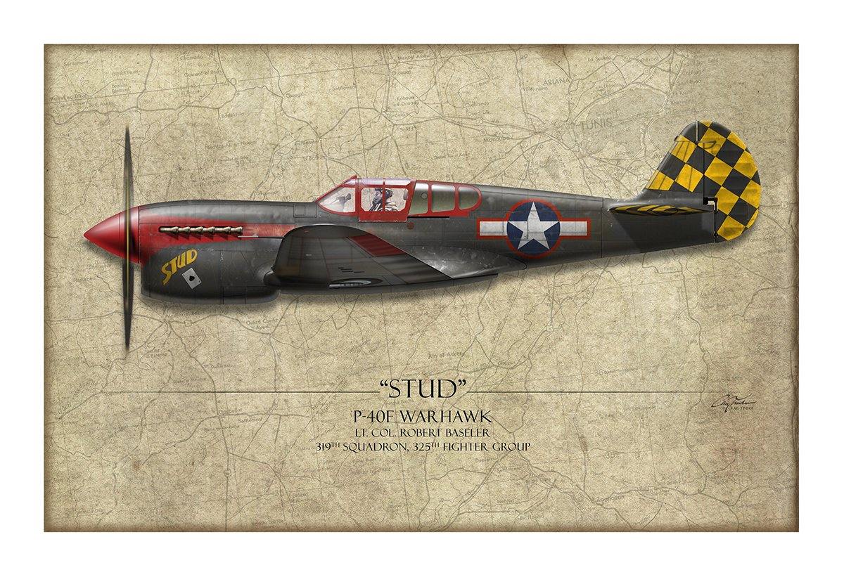 Stud P-40 Warhawk Aviation Art Print - Profile-Art Print-Aces In Action: The Workshop of Artist Craig Tinder