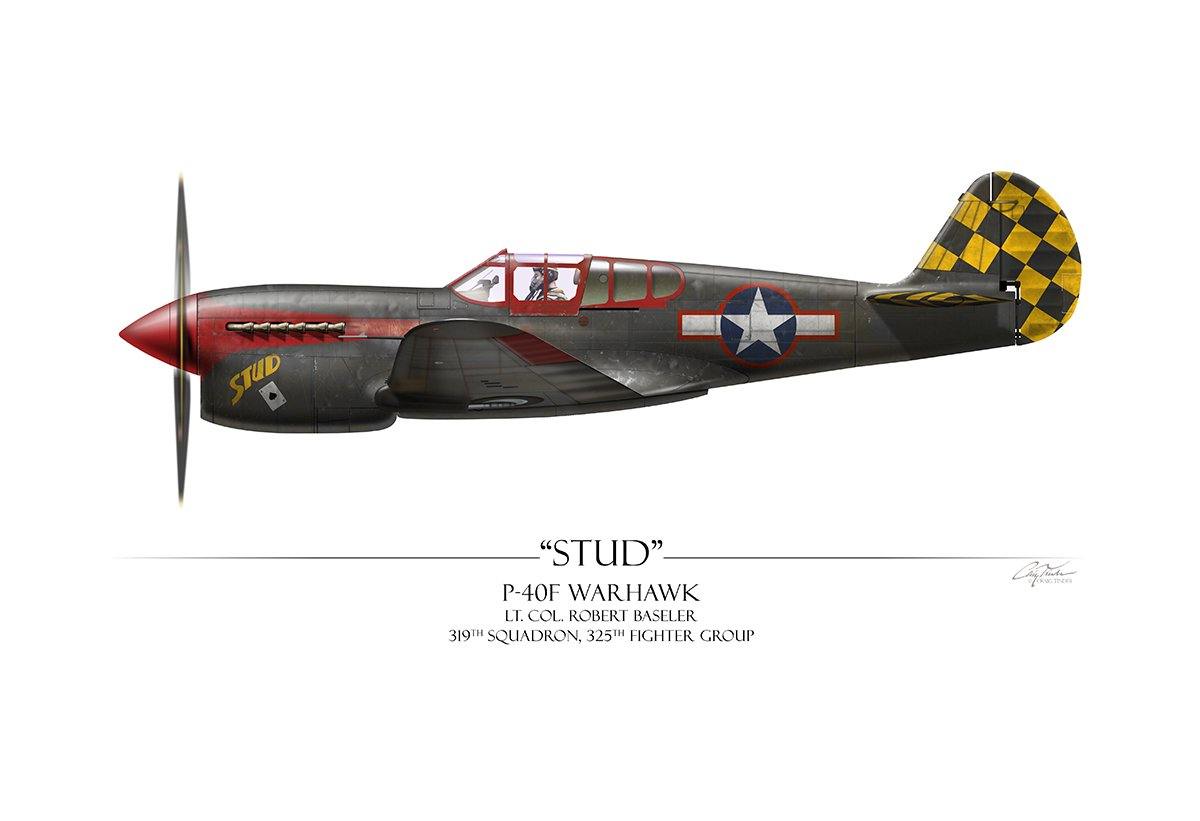 "Stud P-40 Warhawk" - Art Print by Craig Tinder - Aces In Action