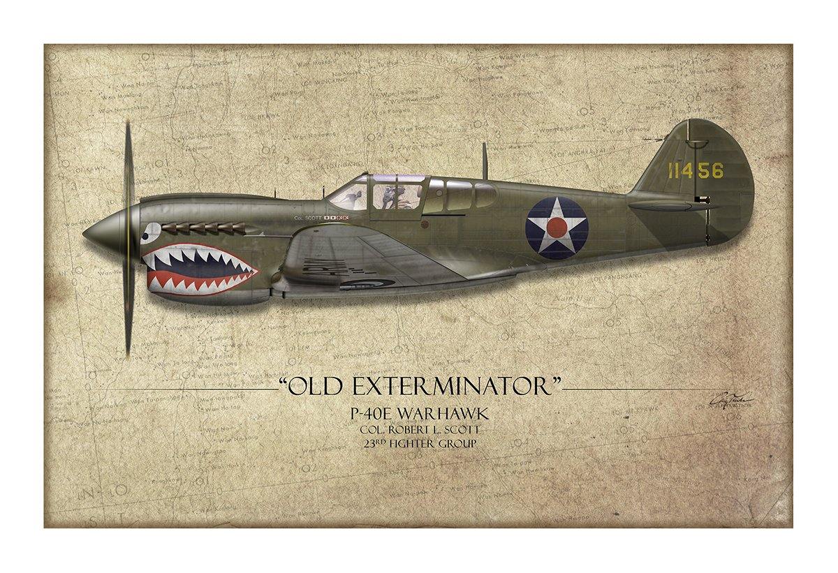 Old Exterminator P-40 Warhawk Aviation Art Print - Profile-Art Print-Aces In Action: The Workshop of Artist Craig Tinder