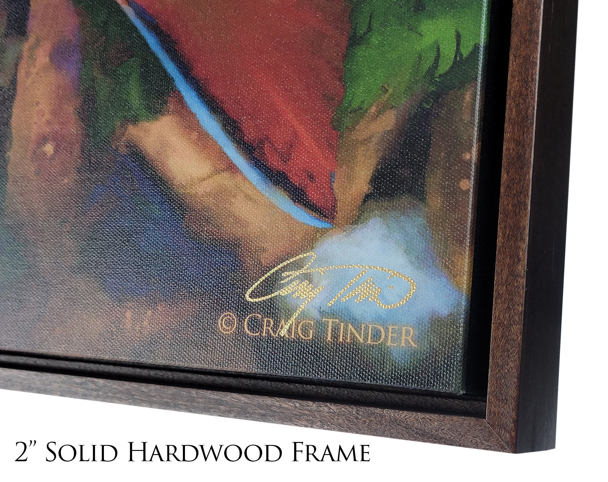 Catskill Brook Trout - Framed Canvas Shadowbox Art-Art Print-Aces In Action: The Workshop of Artist Craig Tinder