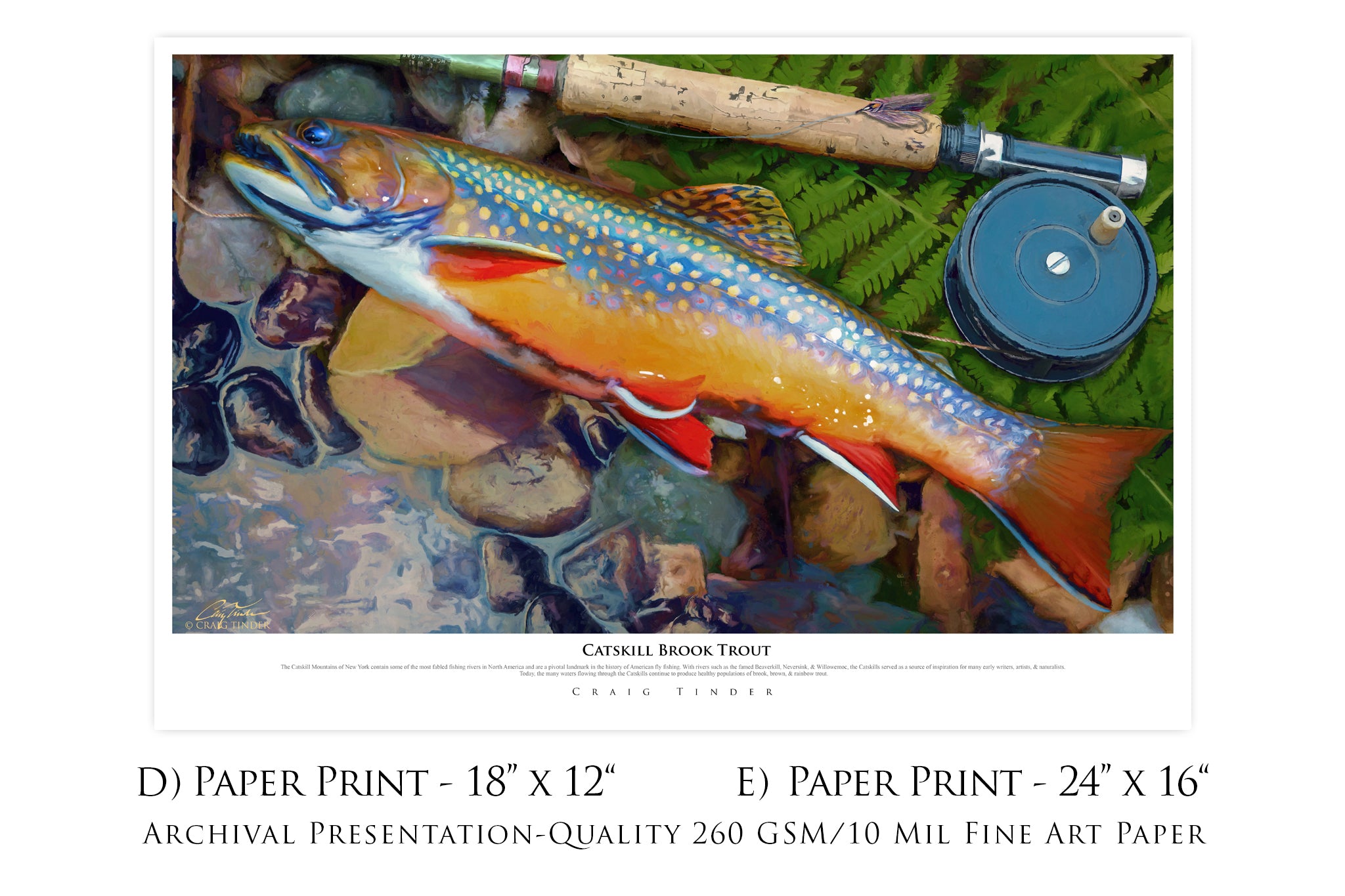 Catskill Brook Trout - Framed Canvas Shadowbox Art-Art Print-Aces In Action: The Workshop of Artist Craig Tinder