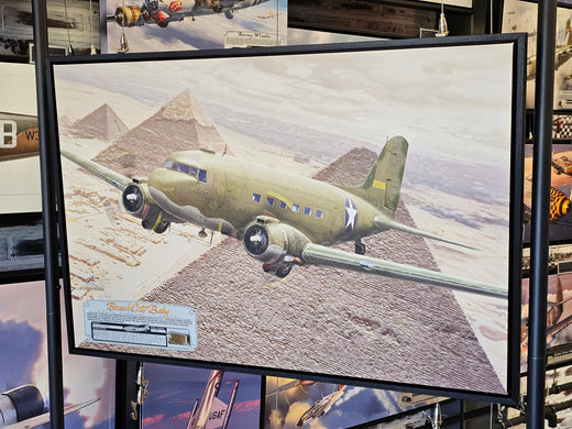 Beach City Baby: The Long Journey of C-53 Skytrooper 41-20095