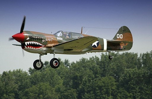 Curtiss P-40 Warhawk: A Legacy of Power and Resilience in World War II ...
