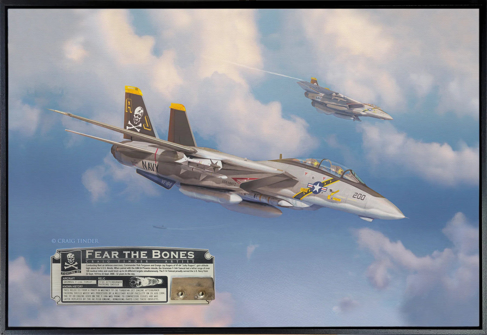 Wings of the Jolly Rogers - "Fear the Bones" F-14A Tomcat Relic Art