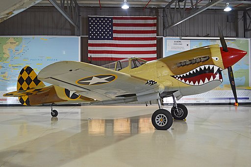 P-40 in the Desert: The Skyward Sentinel of North Africa