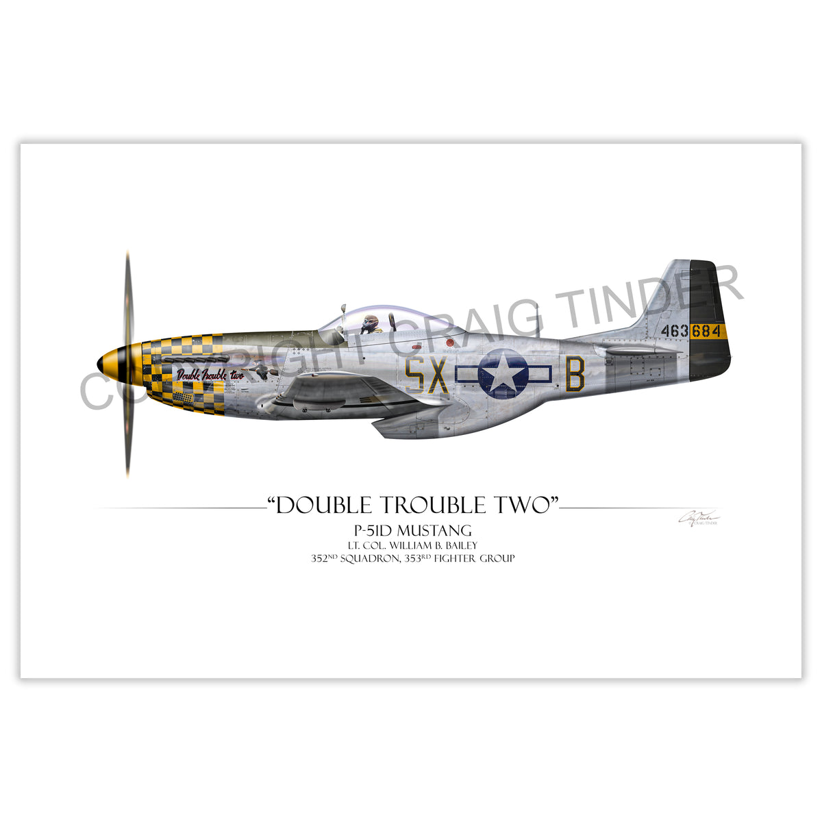 "Double Trouble Two P-51D" - Art Print by Craig Tinder