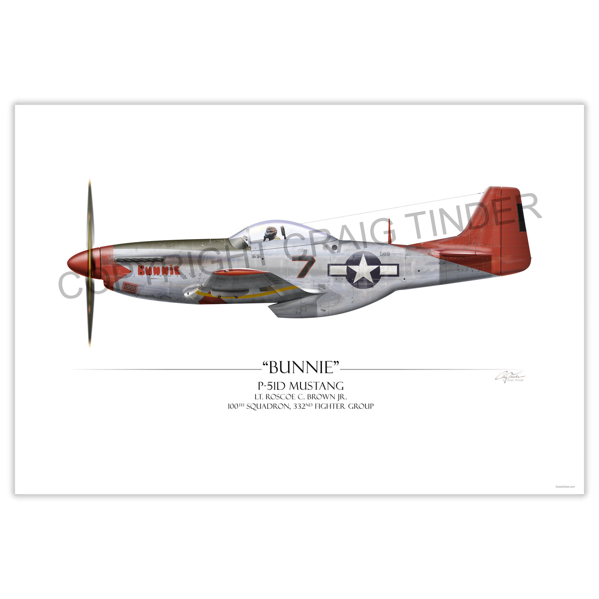 "Bunnie P-51D" - Art Print by Craig Tinder