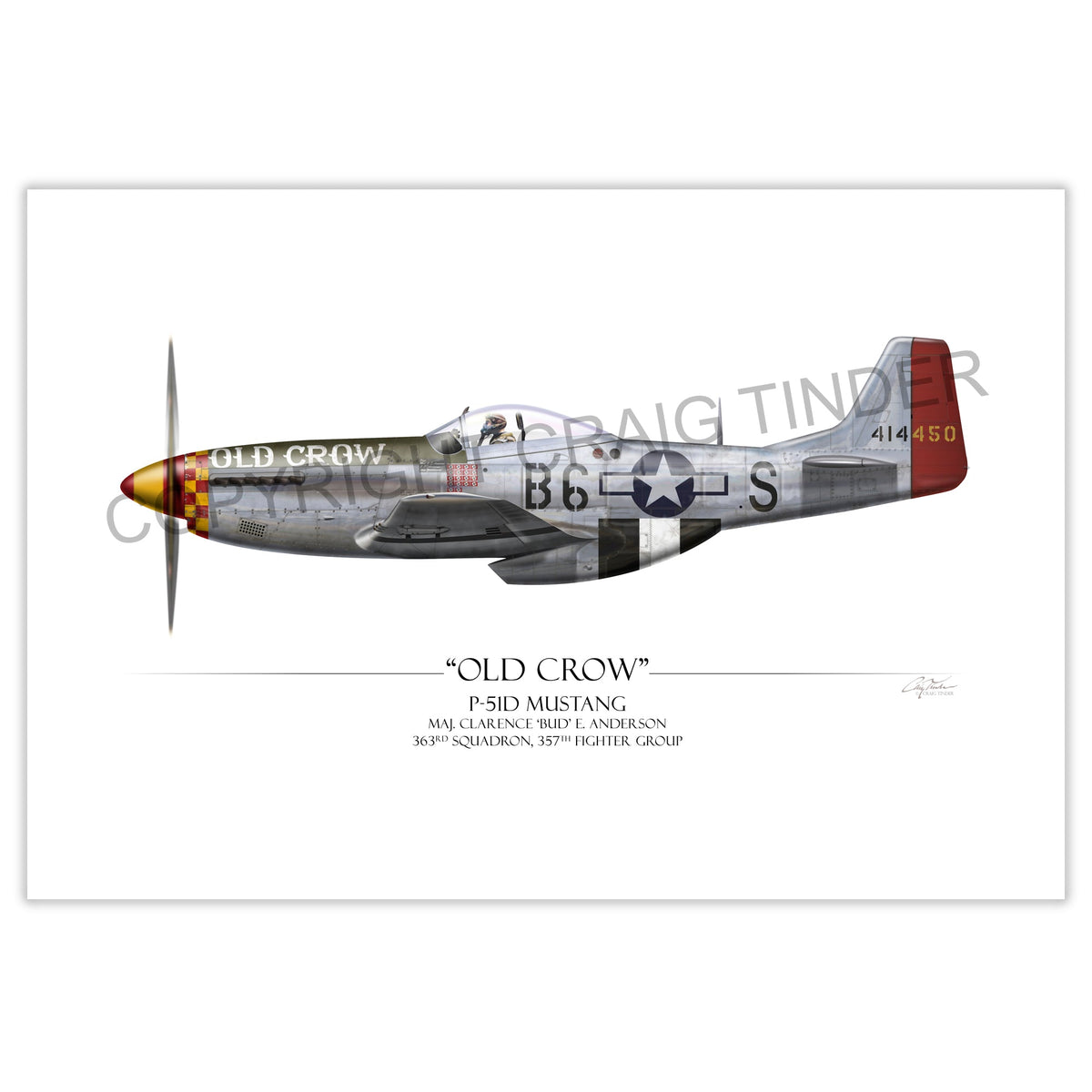 "Old Crow P-51 Mustang" - Art Print by Craig Tinder