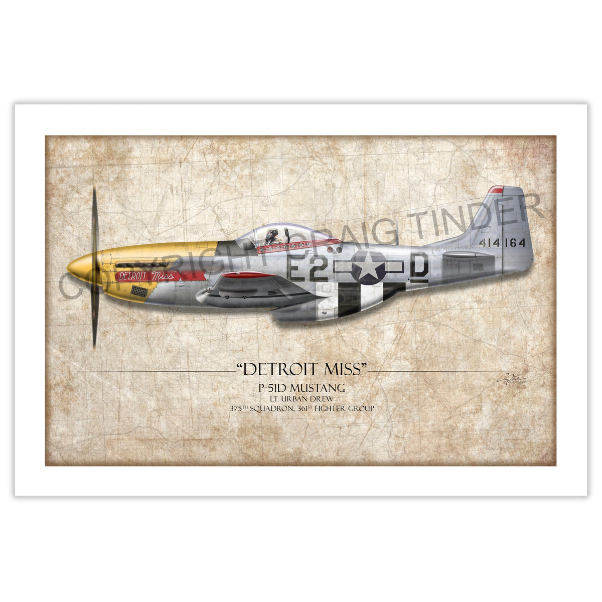 Detroit Miss P-51D Mustang Aviation Art Print - Profile-Art Print-Aces In Action: The Workshop of Artist Craig Tinder