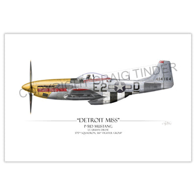 "Detroit Miss P-51D Mustang" - Art Print by Craig Tinder