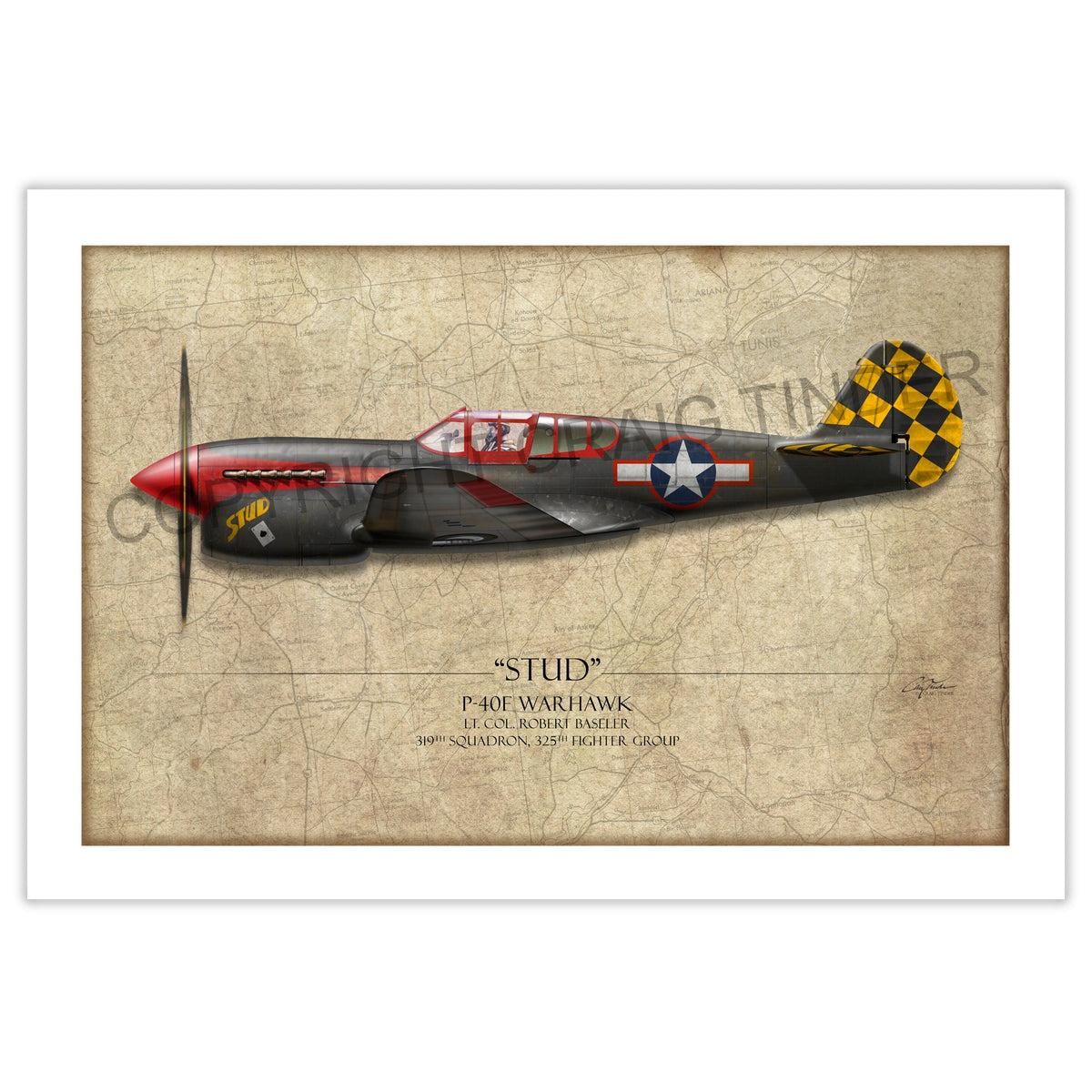 Stud P-40 Warhawk Aviation Art Print - Profile-Art Print-Aces In Action: The Workshop of Artist Craig Tinder