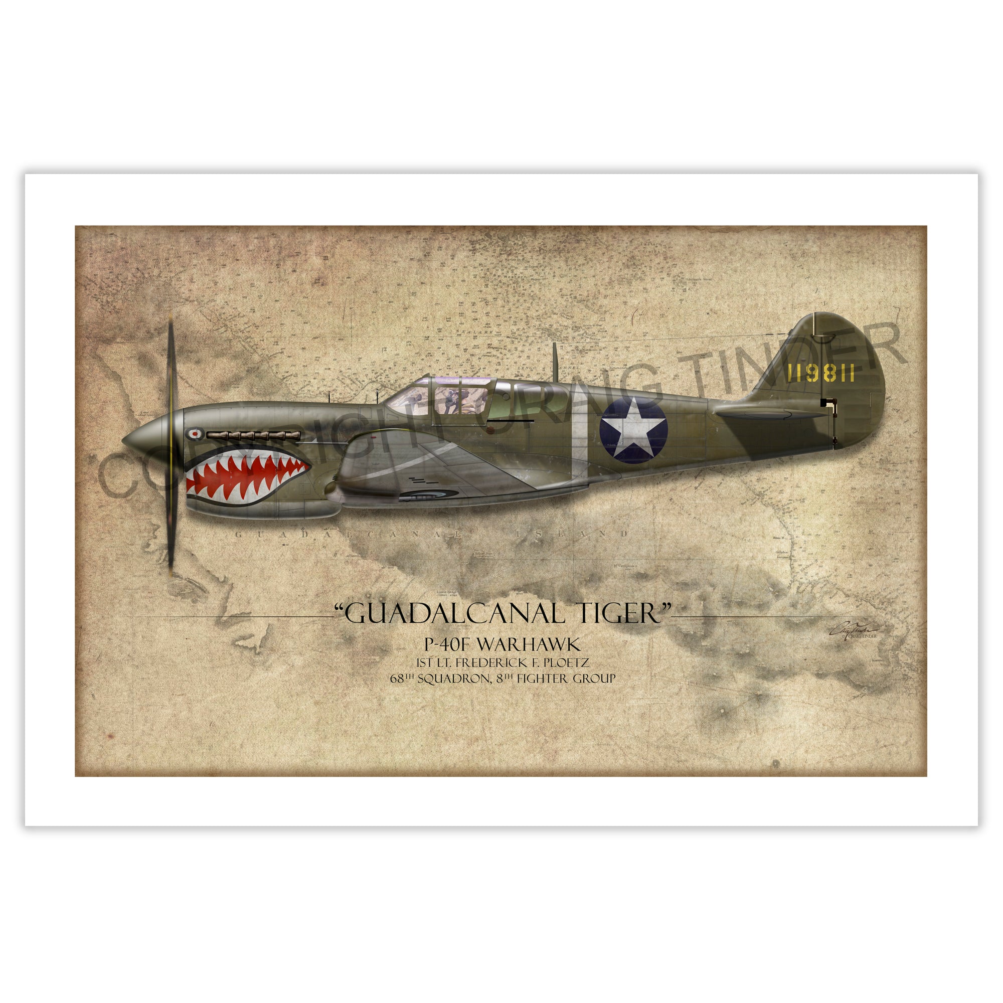 P-40 Warhawk Guadalcanal Tiger Profile Art | Craig Tinder – Aces