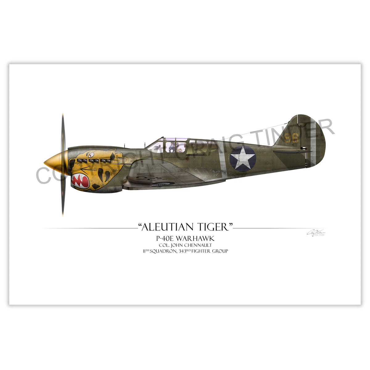 Aleutian Tiger P-40 Warhawk Aviation Art Print - Profile-Art Print-Aces In Action: The Workshop of Artist Craig Tinder