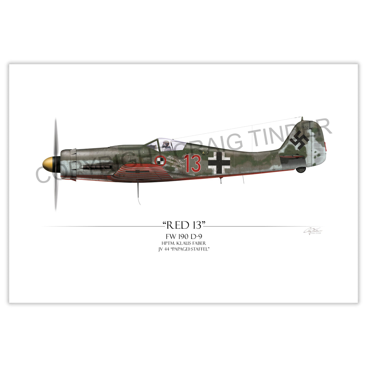 Focke-Wulf Fw 190 D9 - Red 13 profile artwork by Craig Tinder